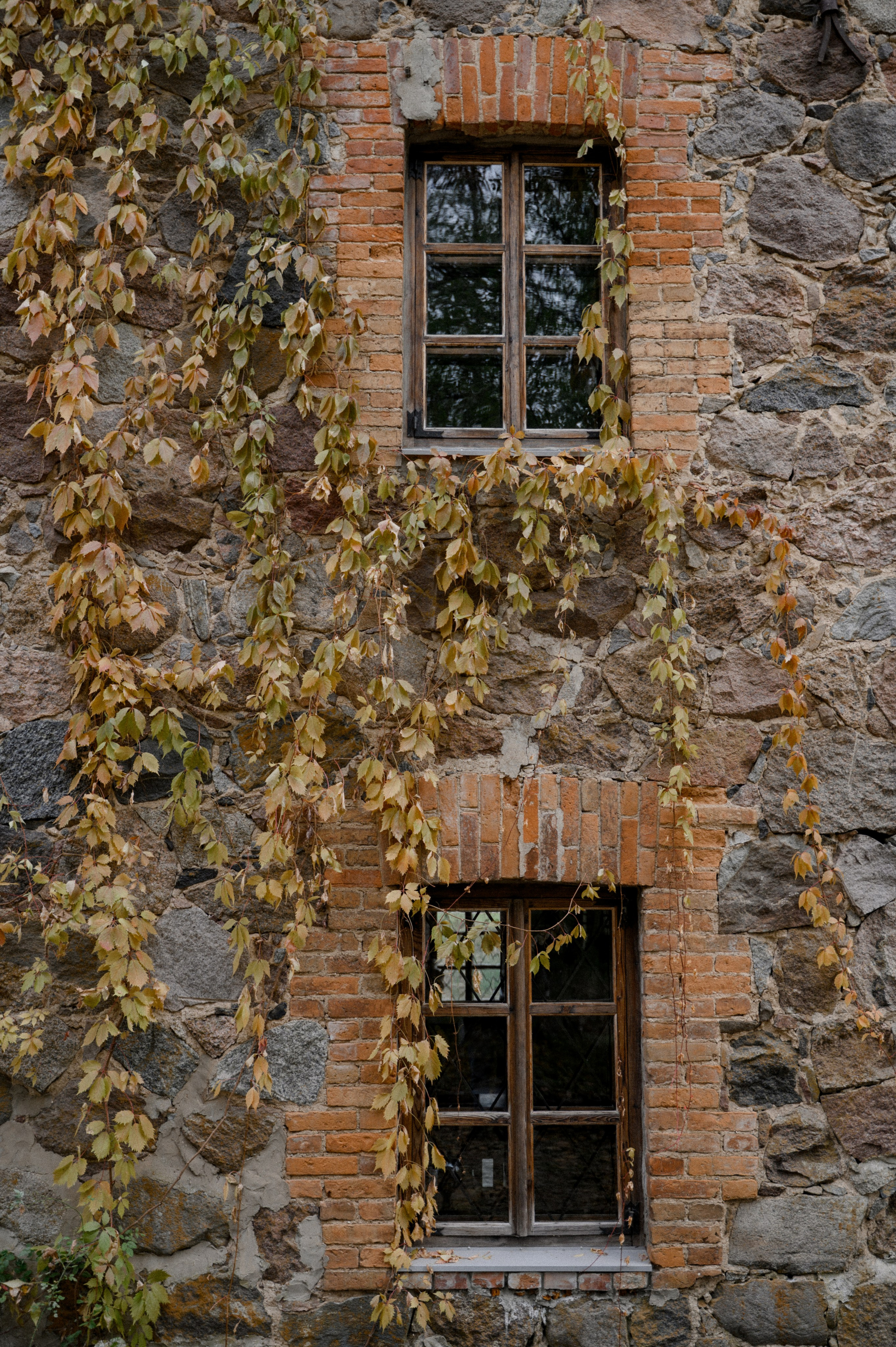 Свадебный фотограф Минск. Свадебный фотограф Минск