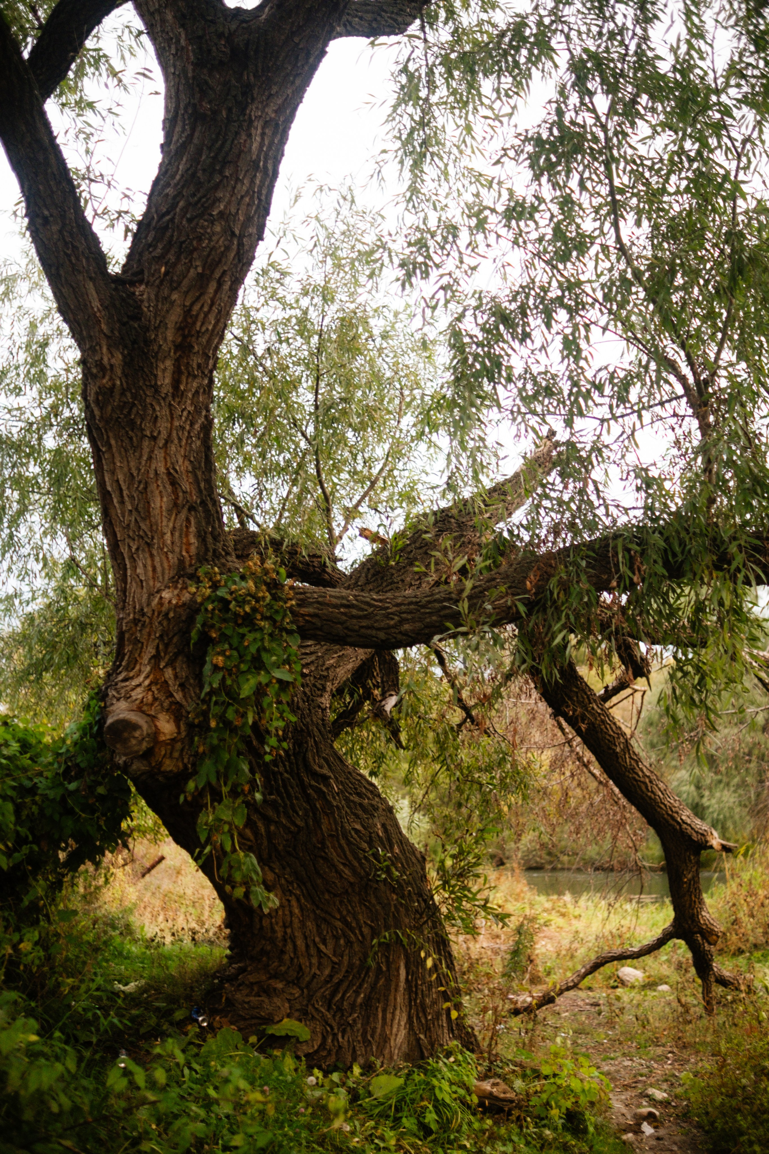 Арина на природе. Фотограф Коробова Екатерина