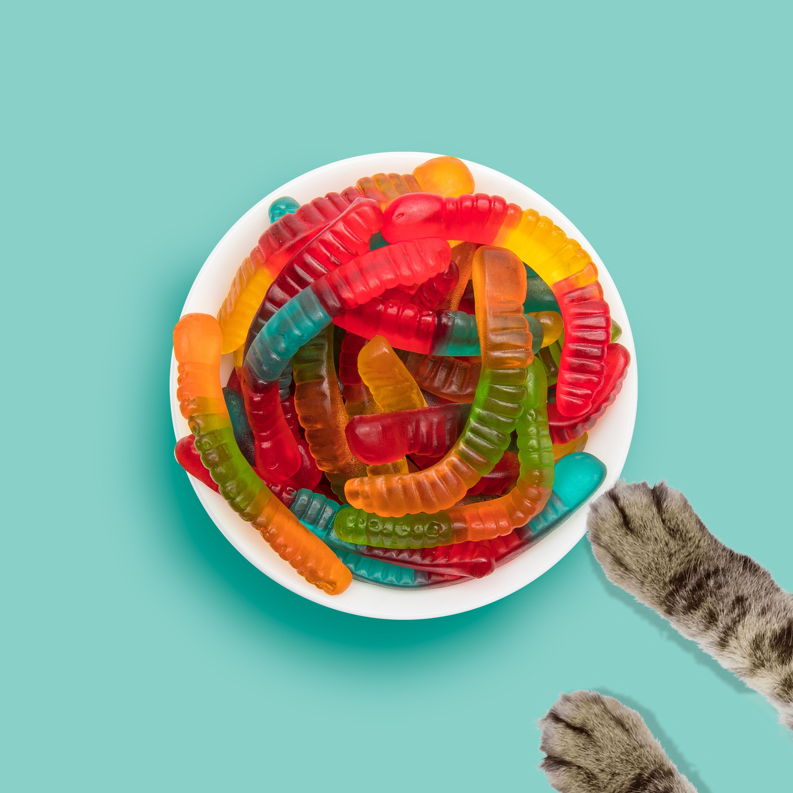 Микс съемки для магазина сладостей Буфет конфет. Каталожный и предметный фотограф в Москве Анна Nesmeliva