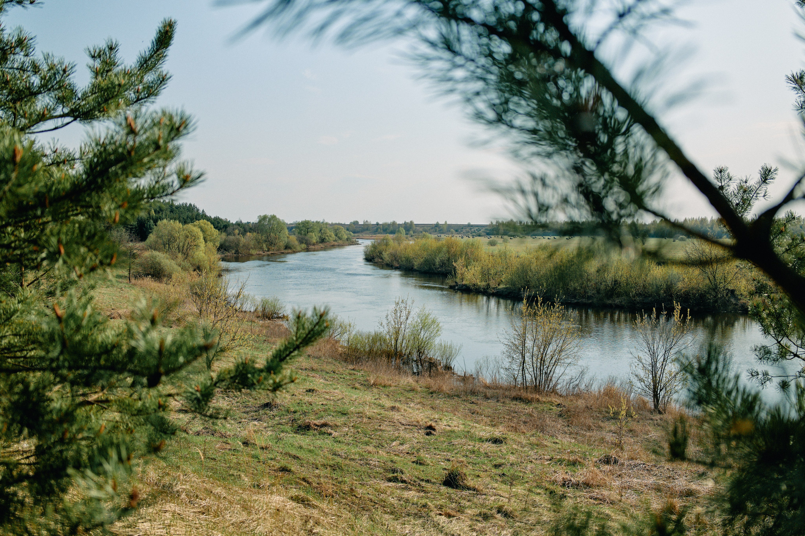 Бутик-отель Поле летом. Профессиональный Фотограф во Владимире, в Москве и в Суздале — Полина Романычева