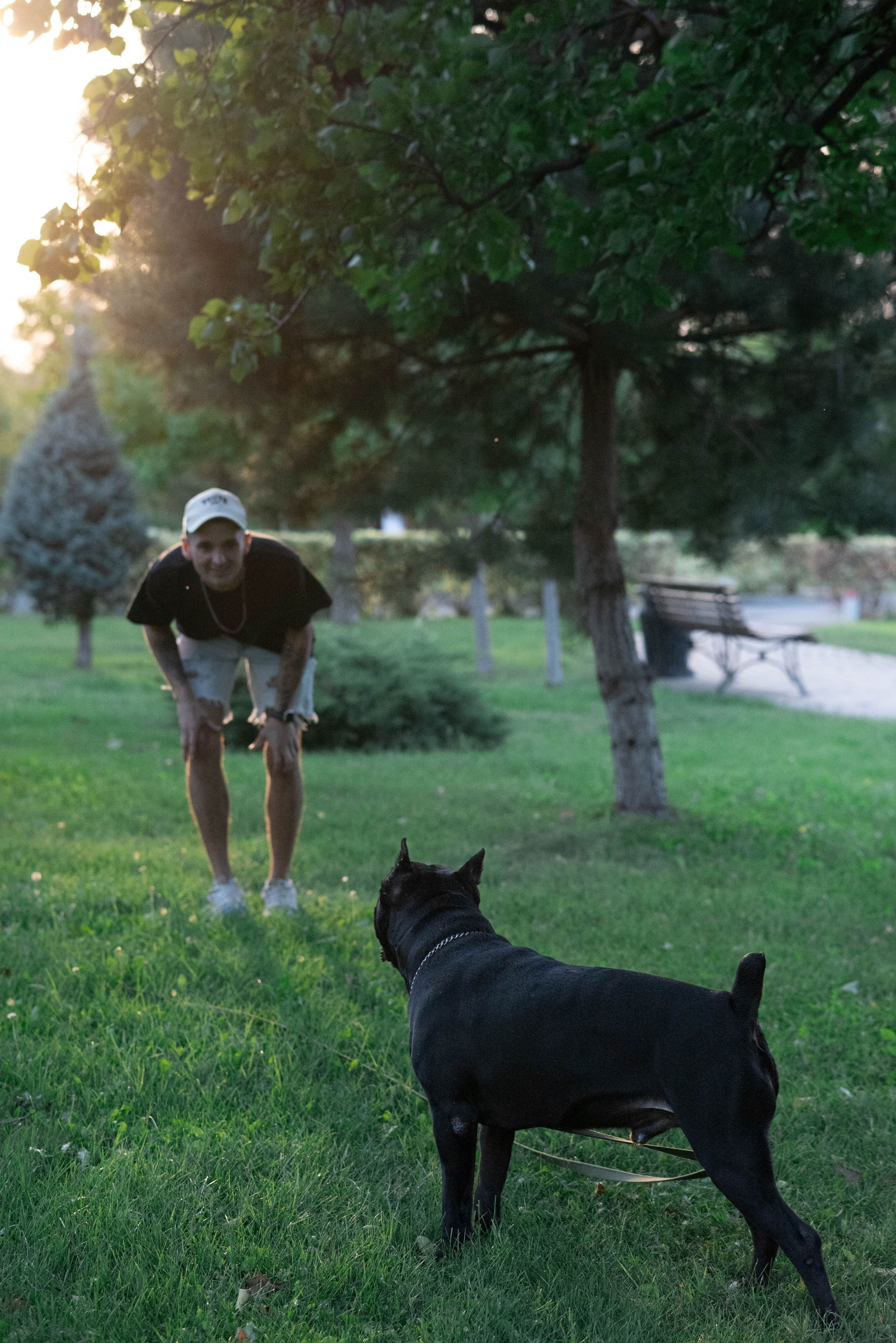 Фотосессии с собаками. Фотограф Краснодар Наталья Сувит