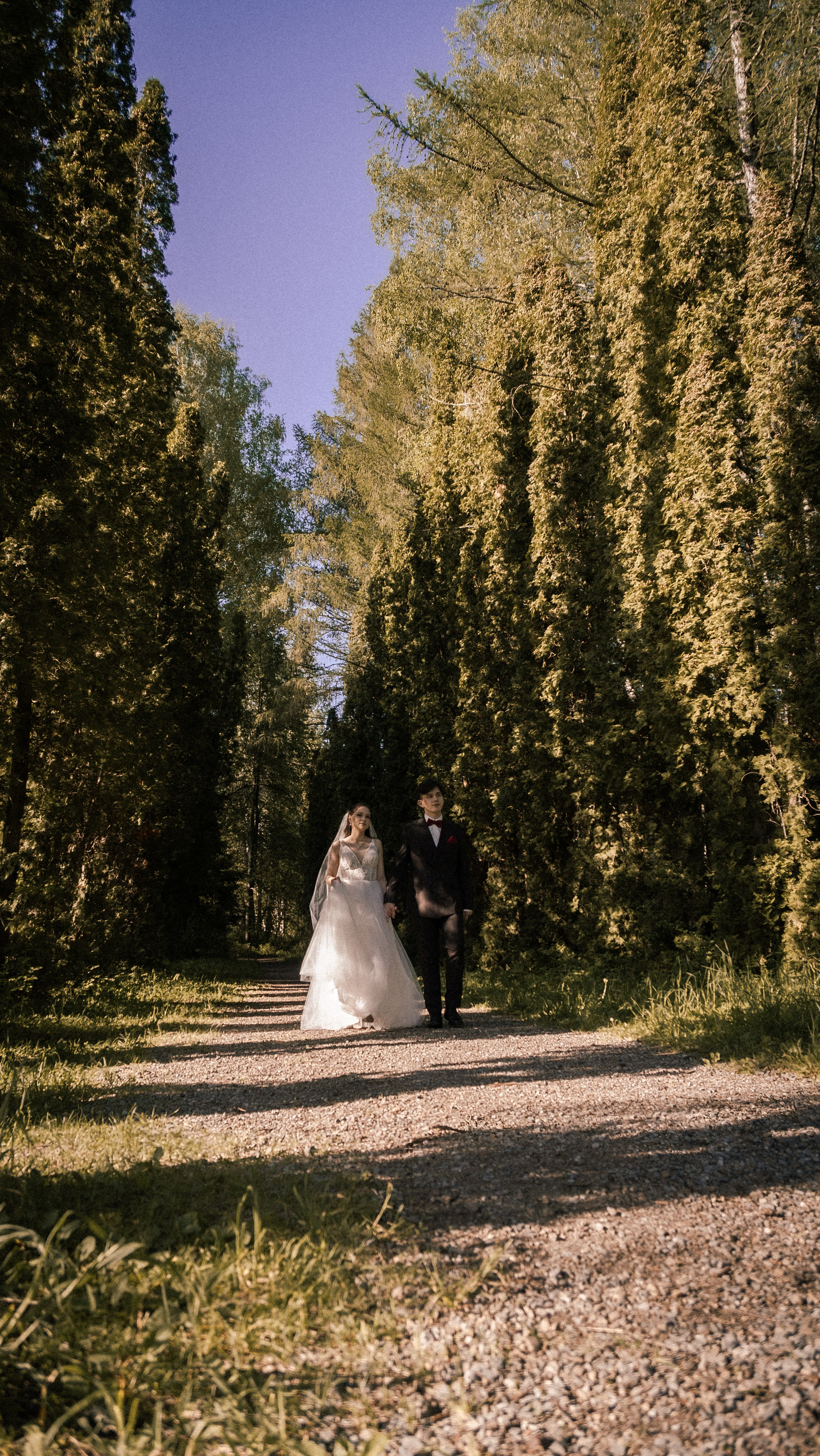 Алина и Арсений. Фотограф и видеограф Андрей Кукишев
