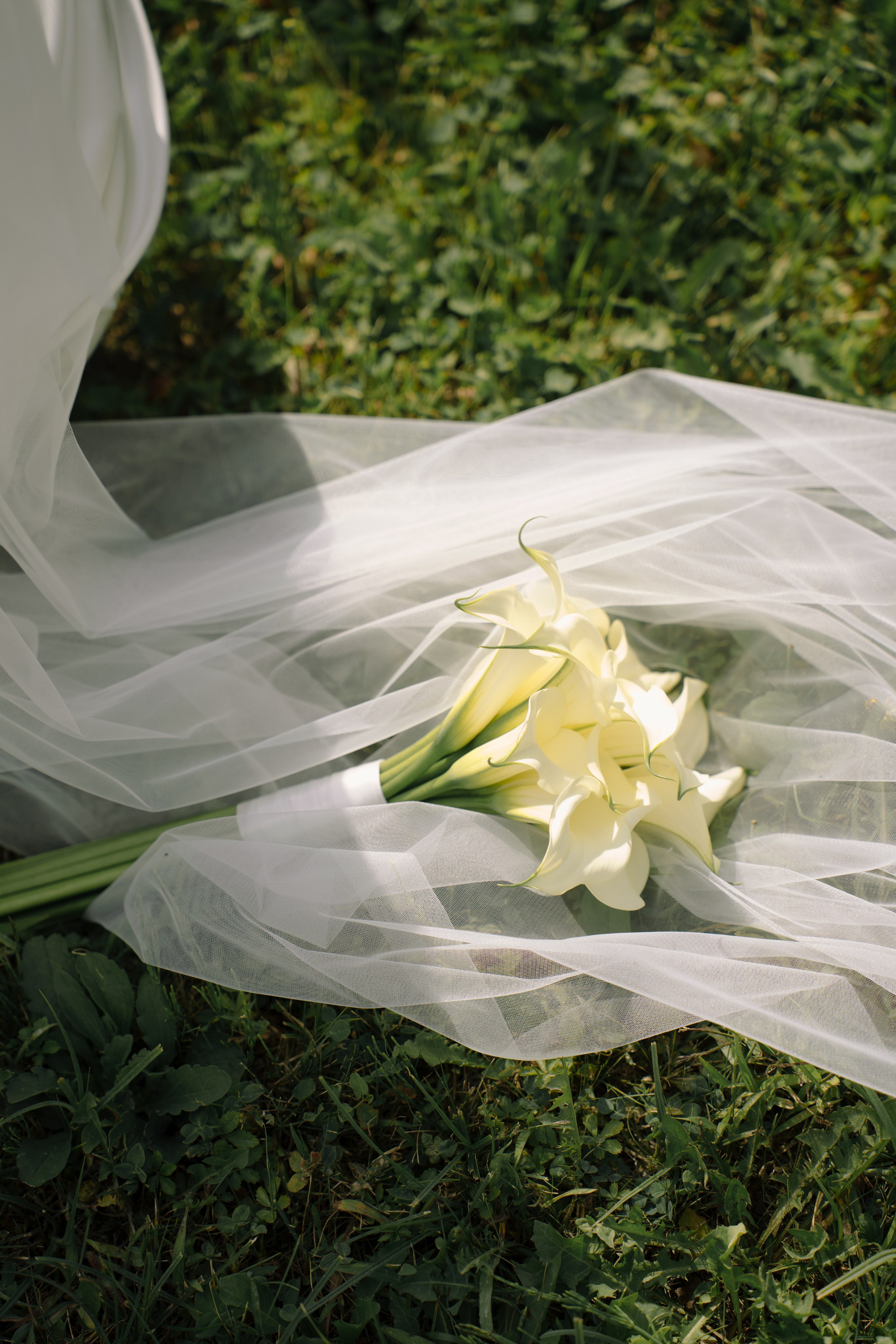 Любовь без границ