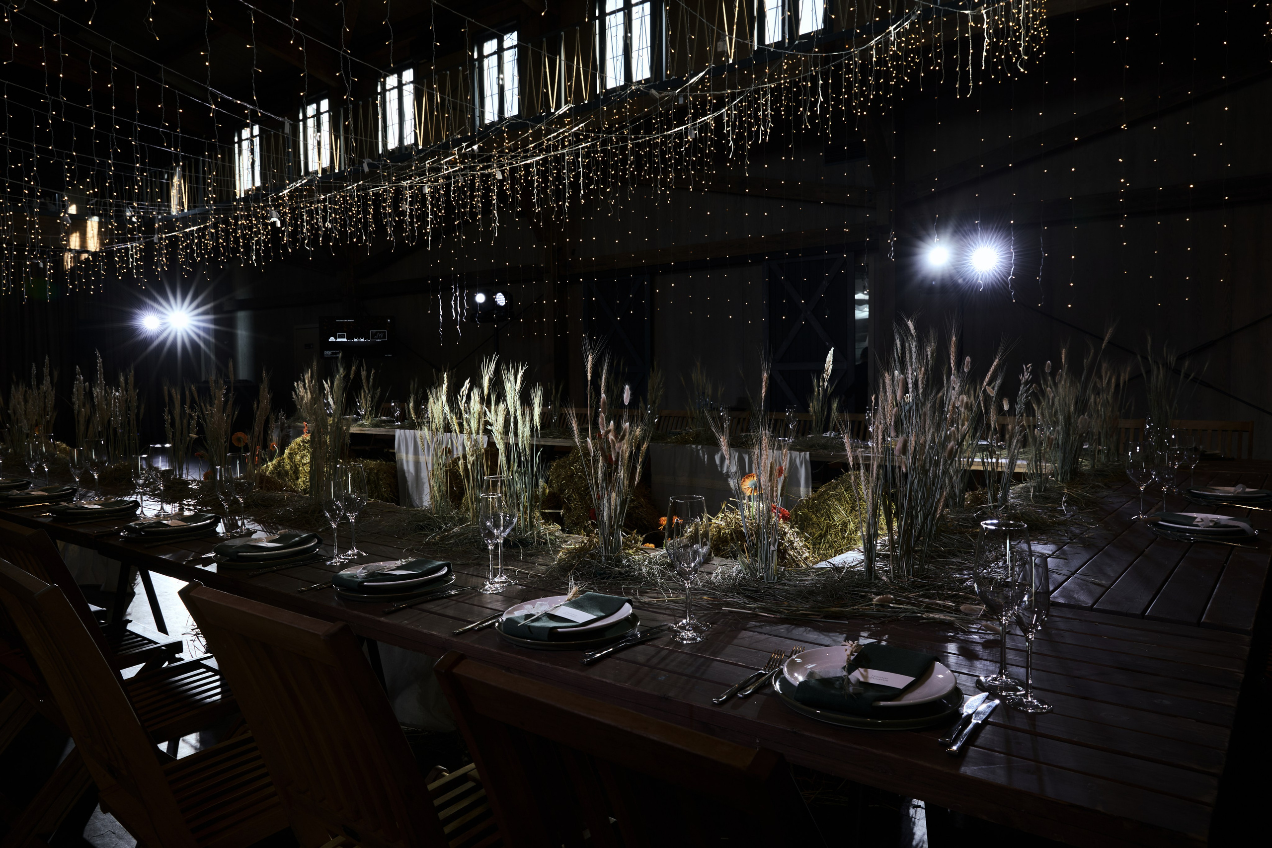 I & E. Anastasia Jes