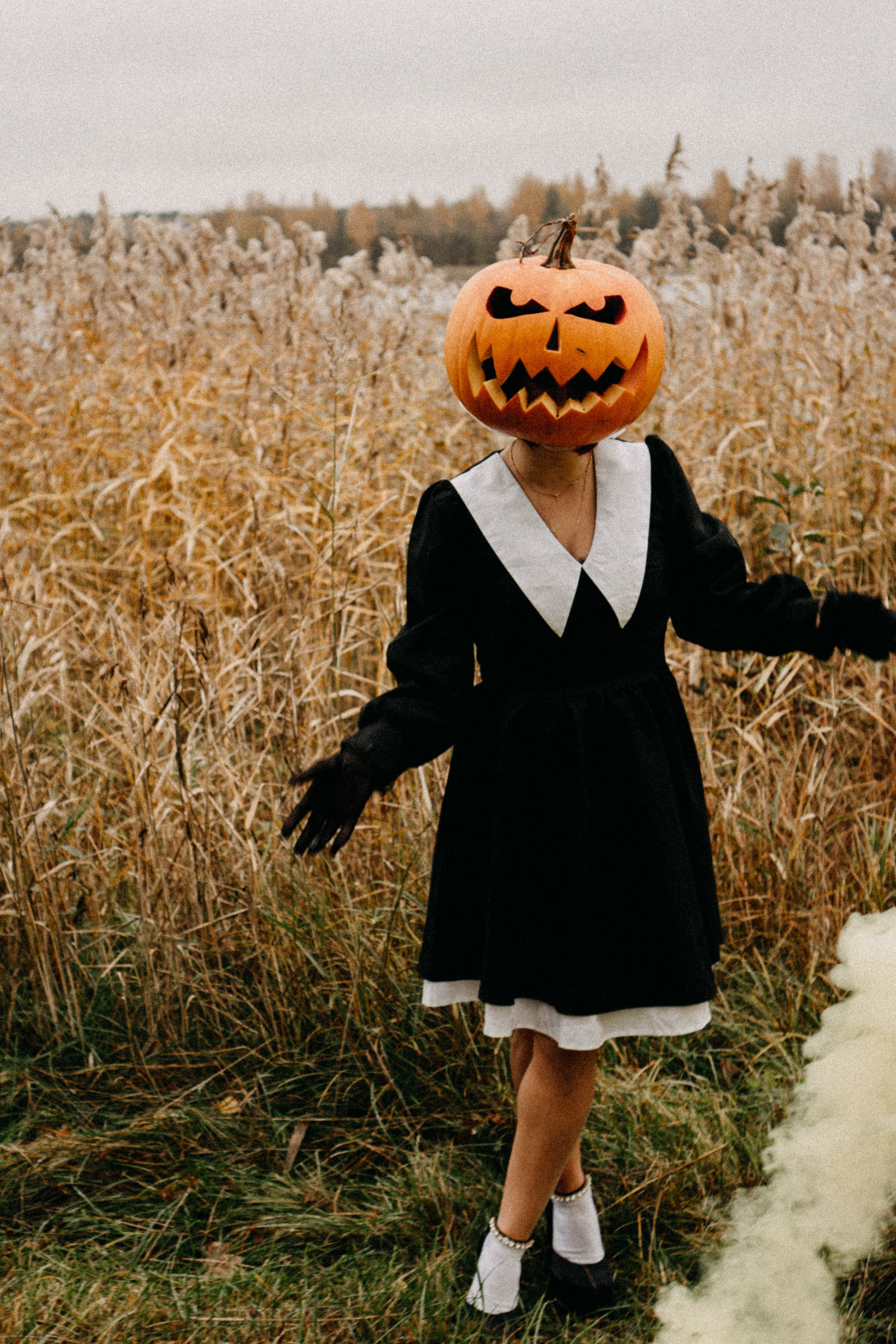 Осеняя. Профессиональный фотограф, Санкт-Петербург — Виктория Богомолова