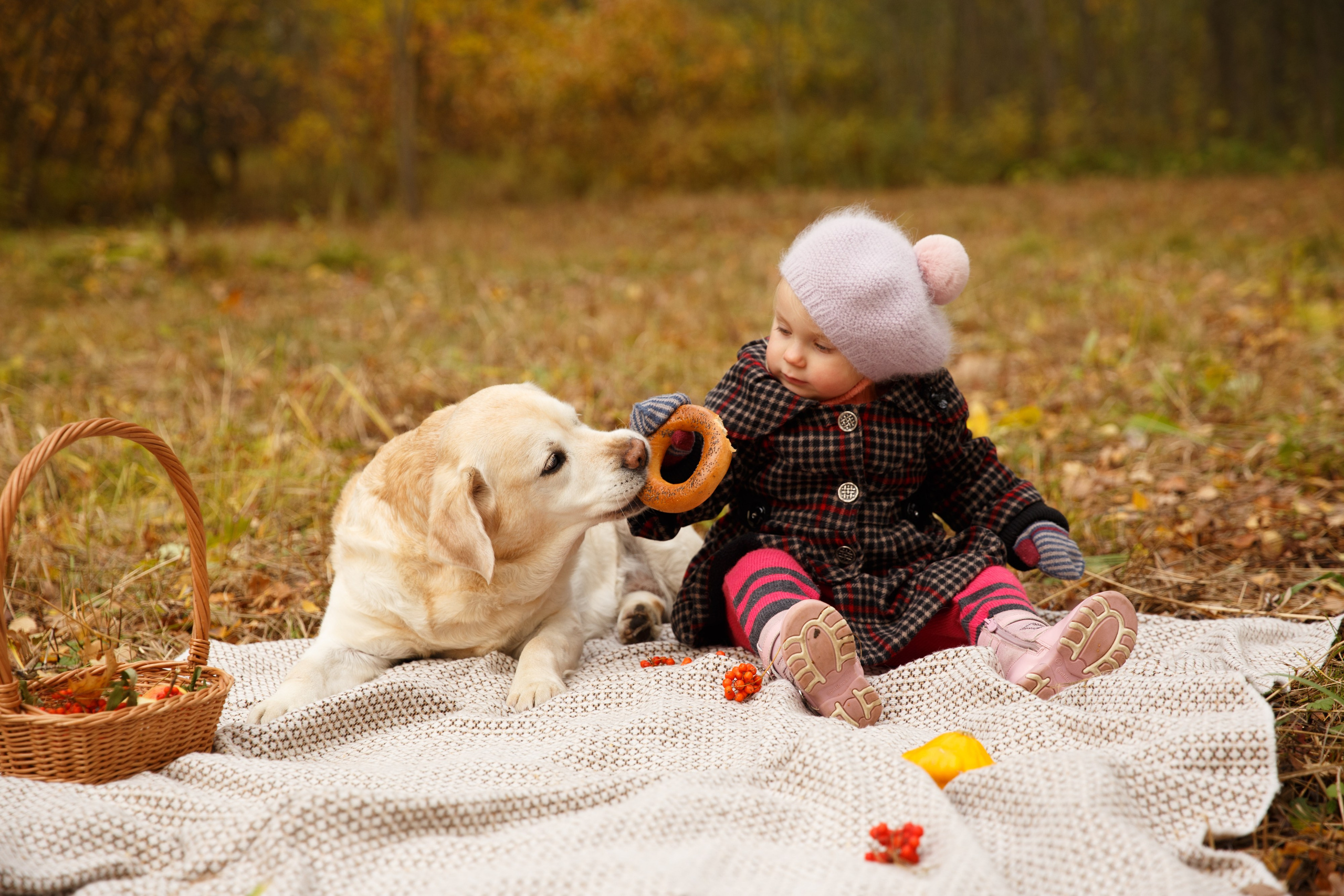 Осенним днём. Детский и Семейный фотограф в Санкт-Петербурге