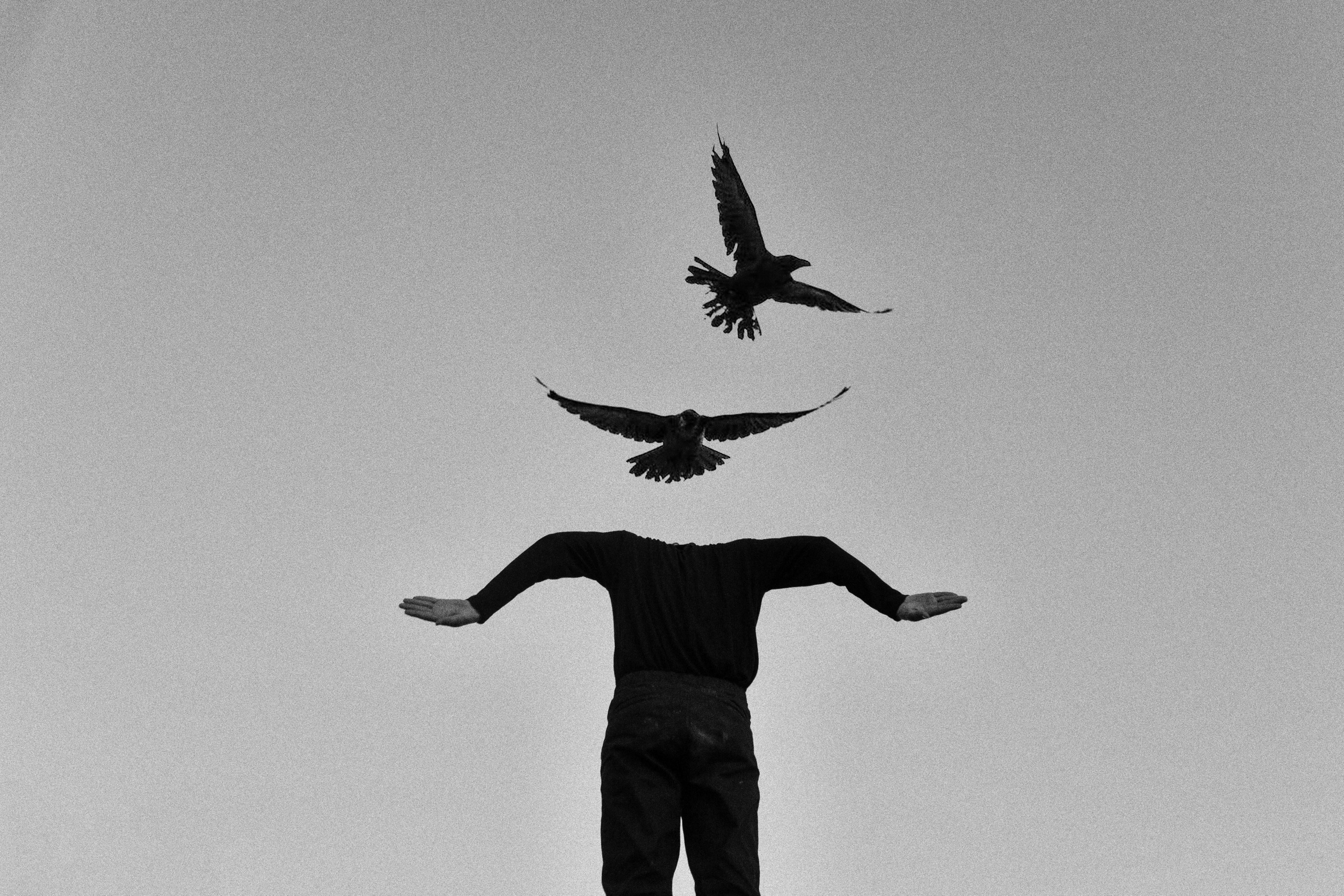 Ворон. Фотограф в Омске Екатерина Павлова