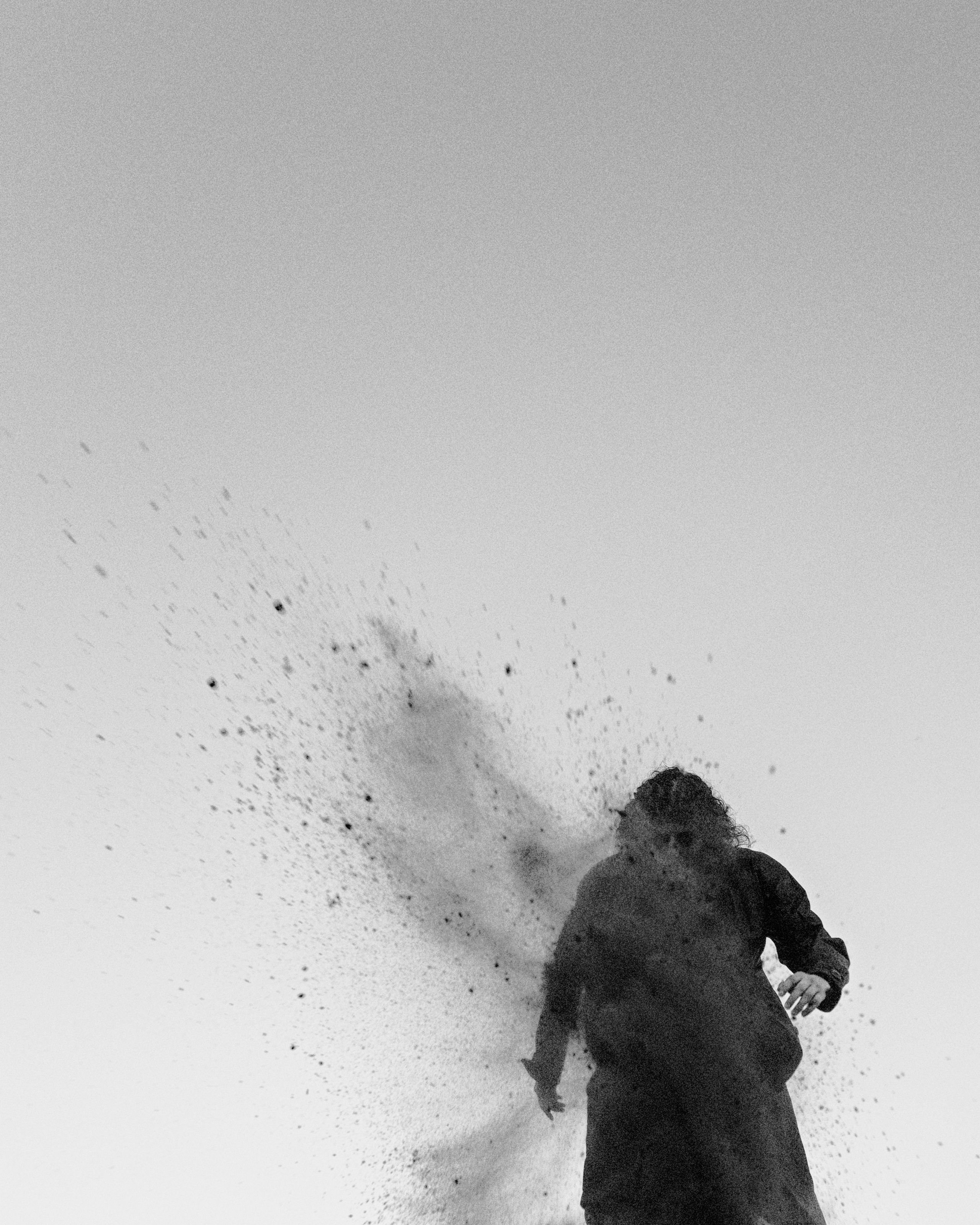 Ворон. Фотограф в Омске Екатерина Павлова