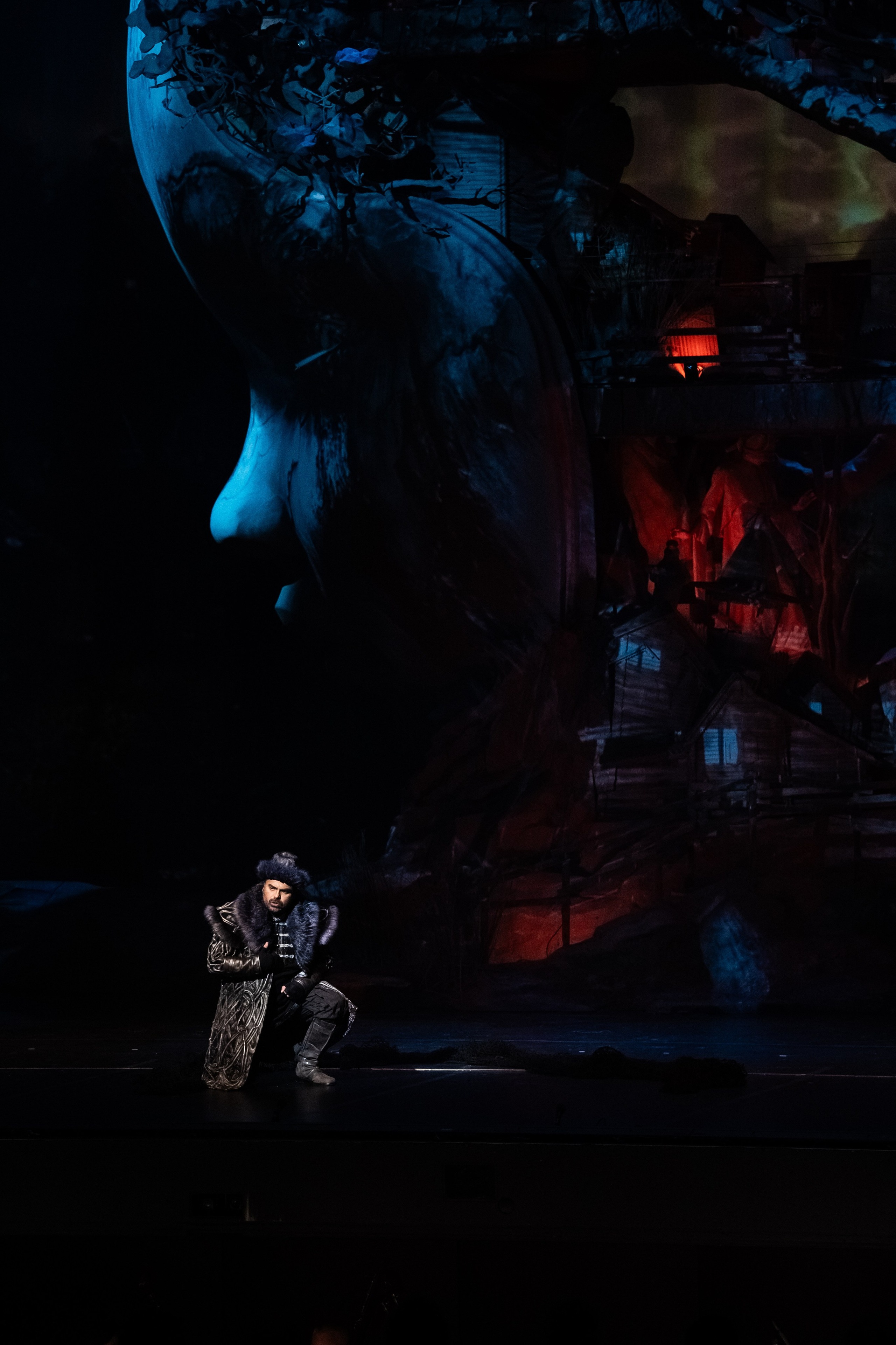 Мандрагора. Фотограф и видеограф Евгений Романов Санкт-Петербург