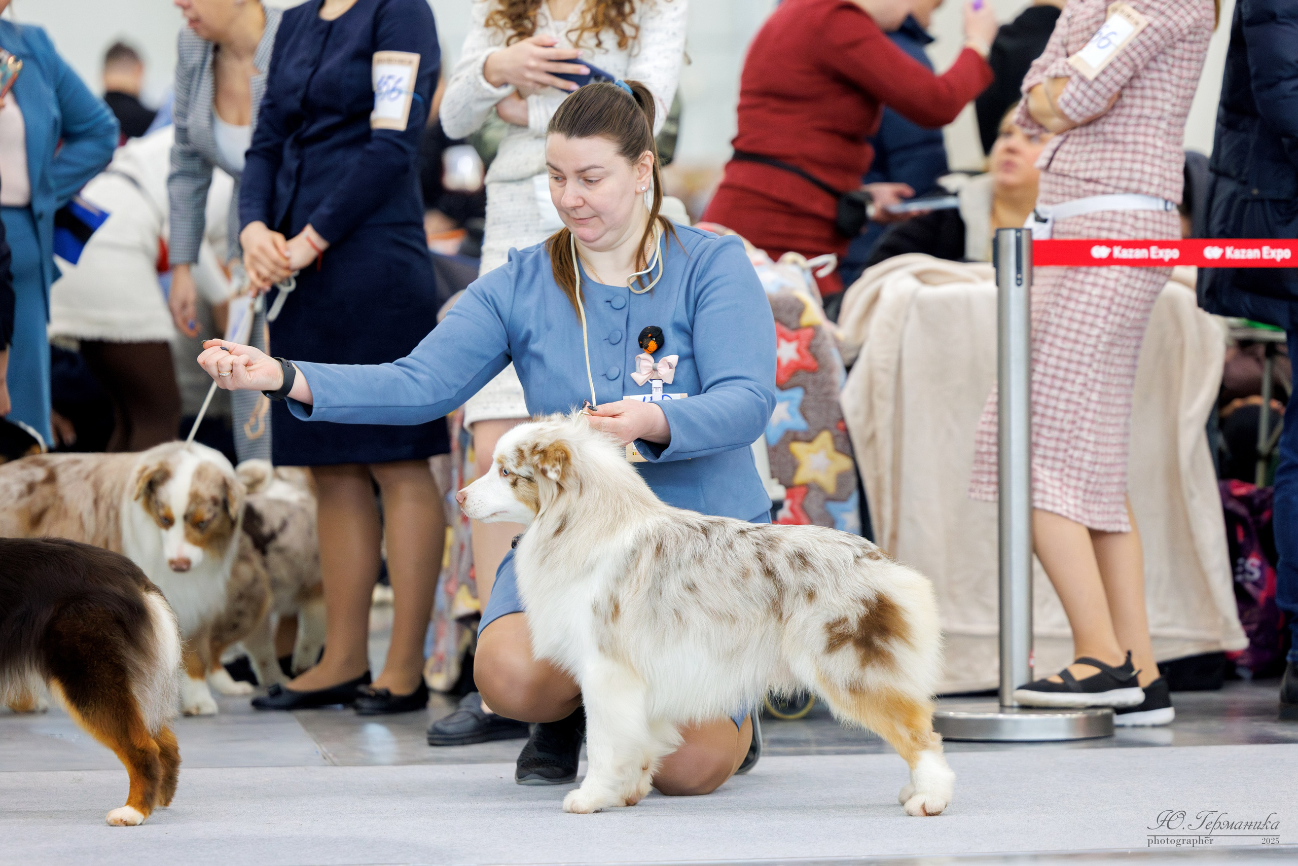 Сабанеевка Казань 25-26.01.2025. Фотограф-анималист Юлия Германика
