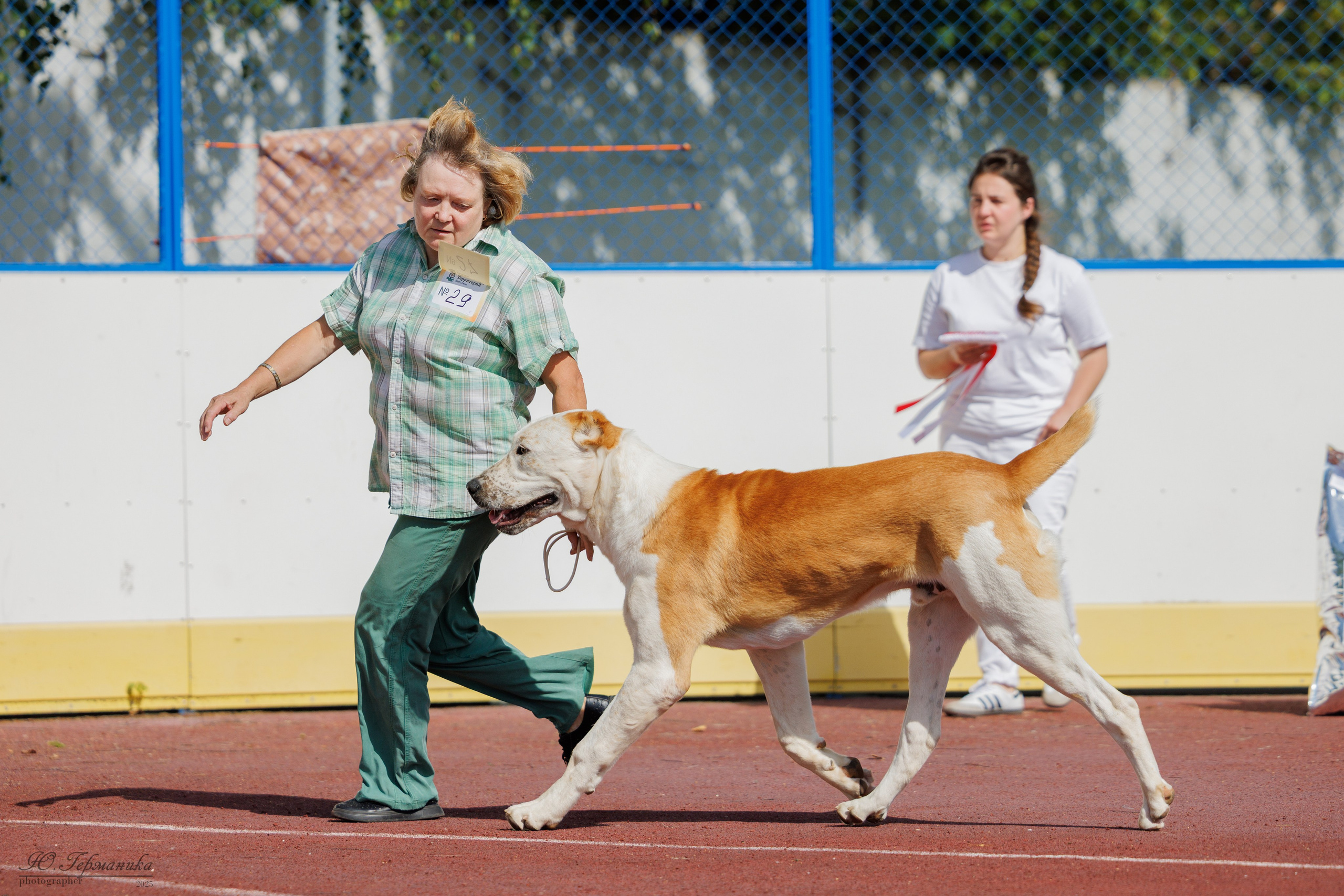 Коломна 30.08.2025. Фотограф-анималист Юлия Германика