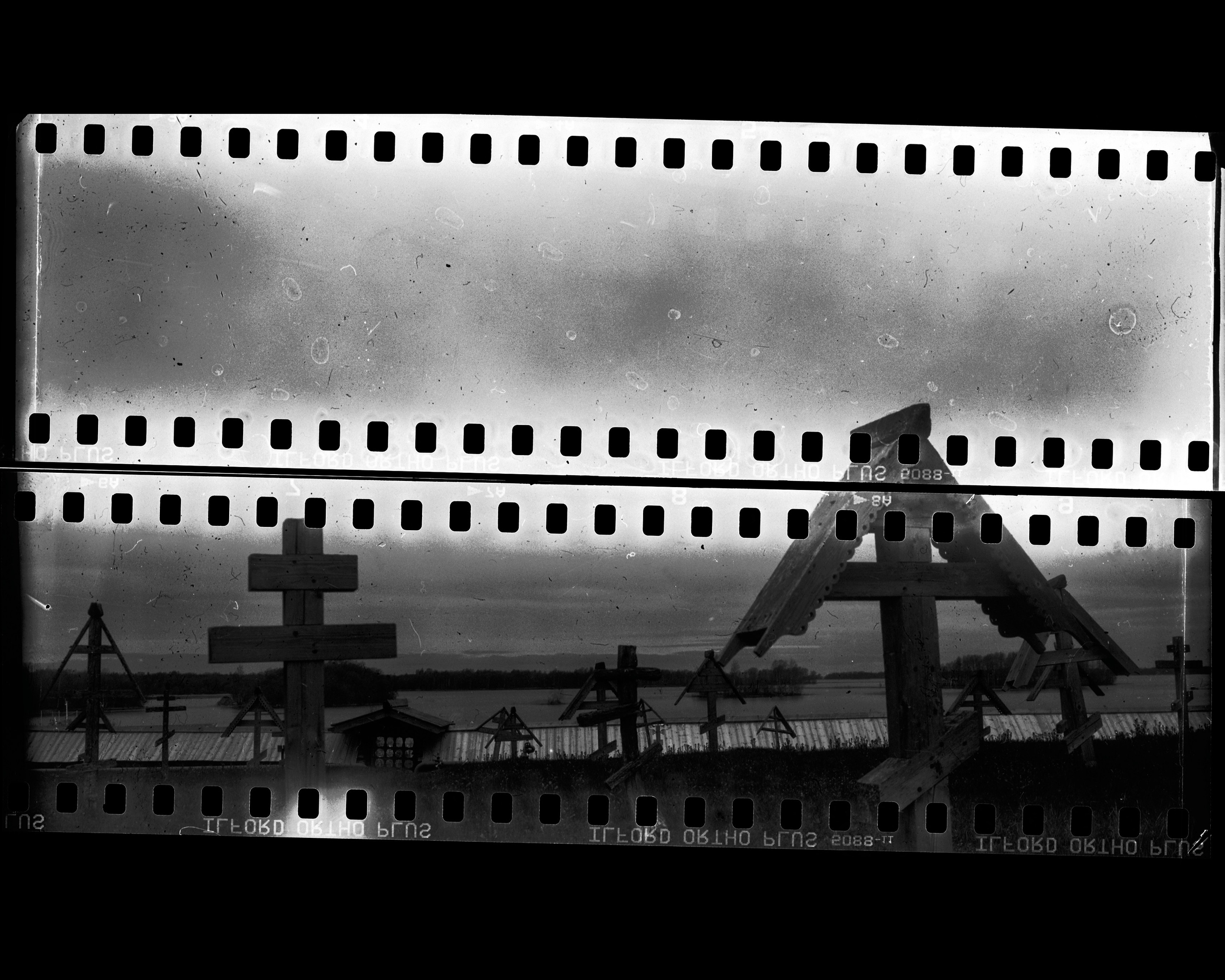 Ilford Ortho