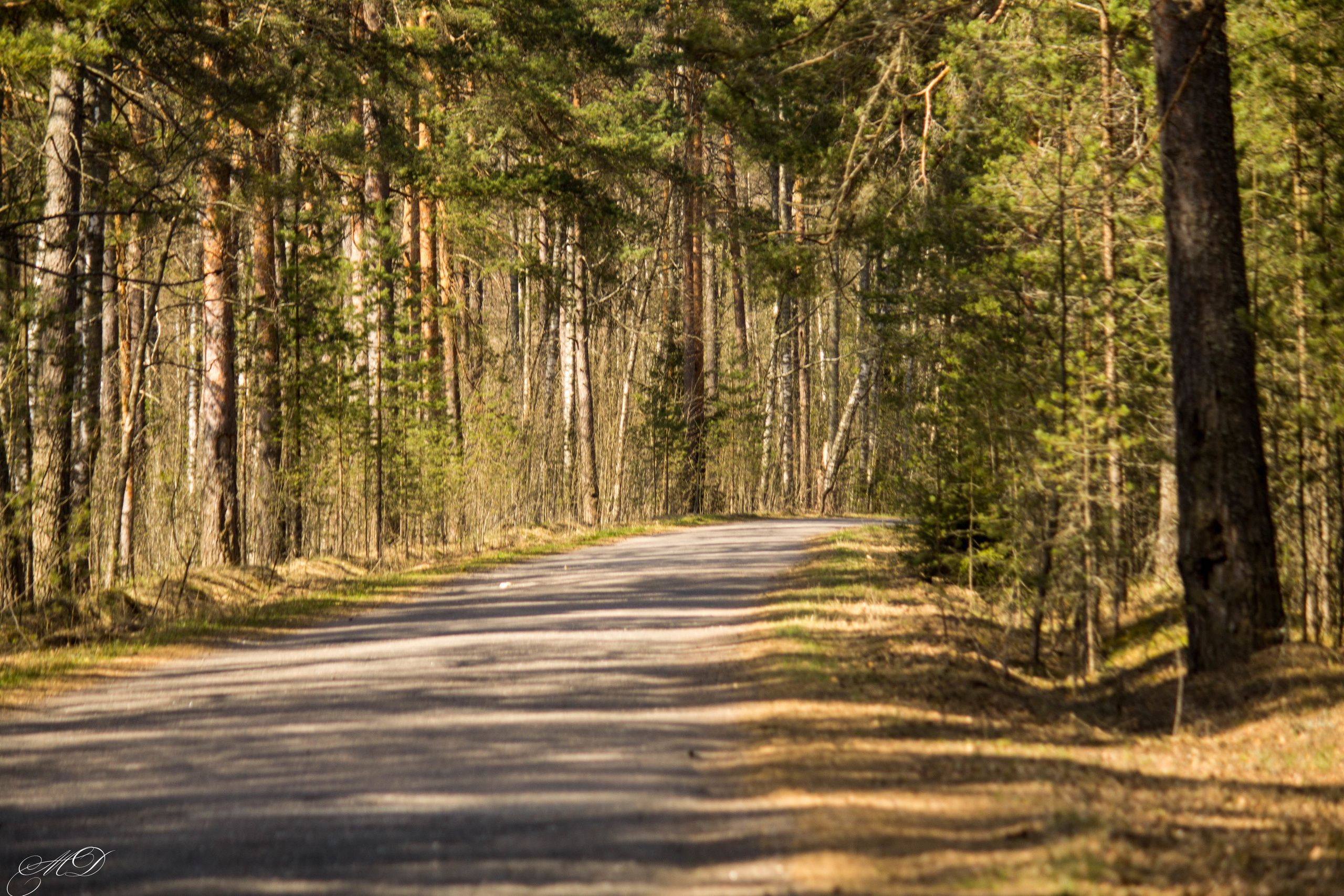 Михаил Дёгтев - фотограф
