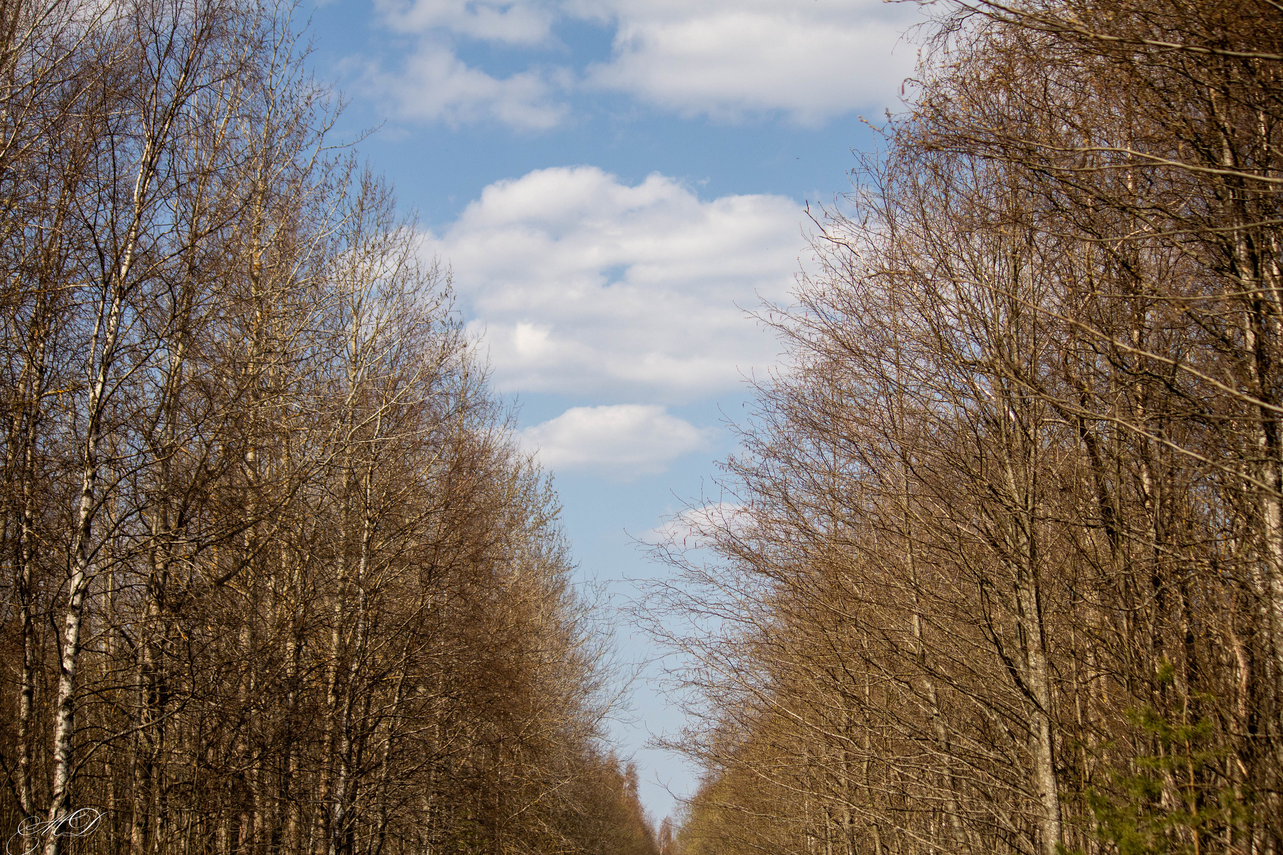 Михаил Дёгтев - фотограф