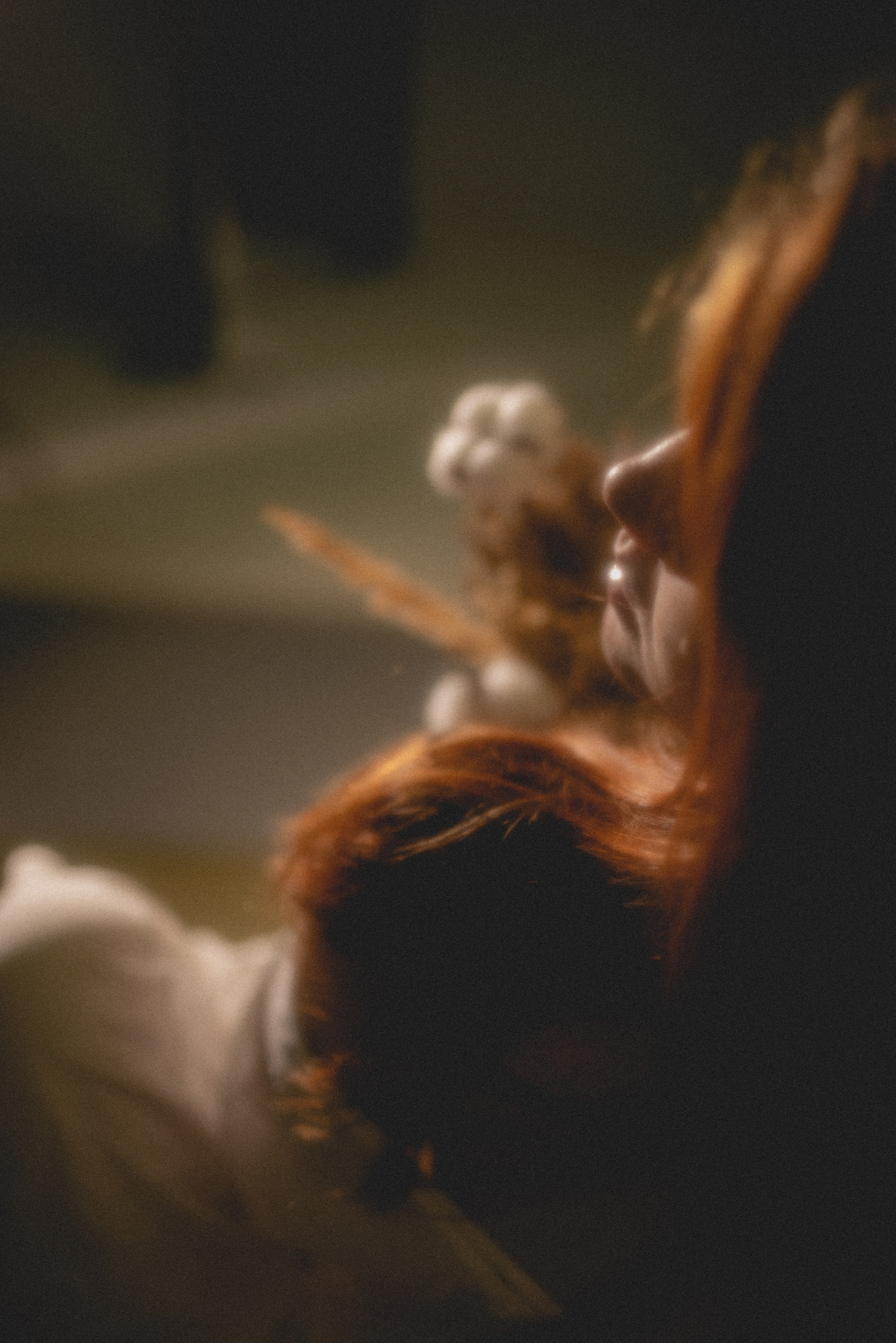 ANASTASIA 2024 étude. Фотограф Санкт-Петербург, Новороссийск