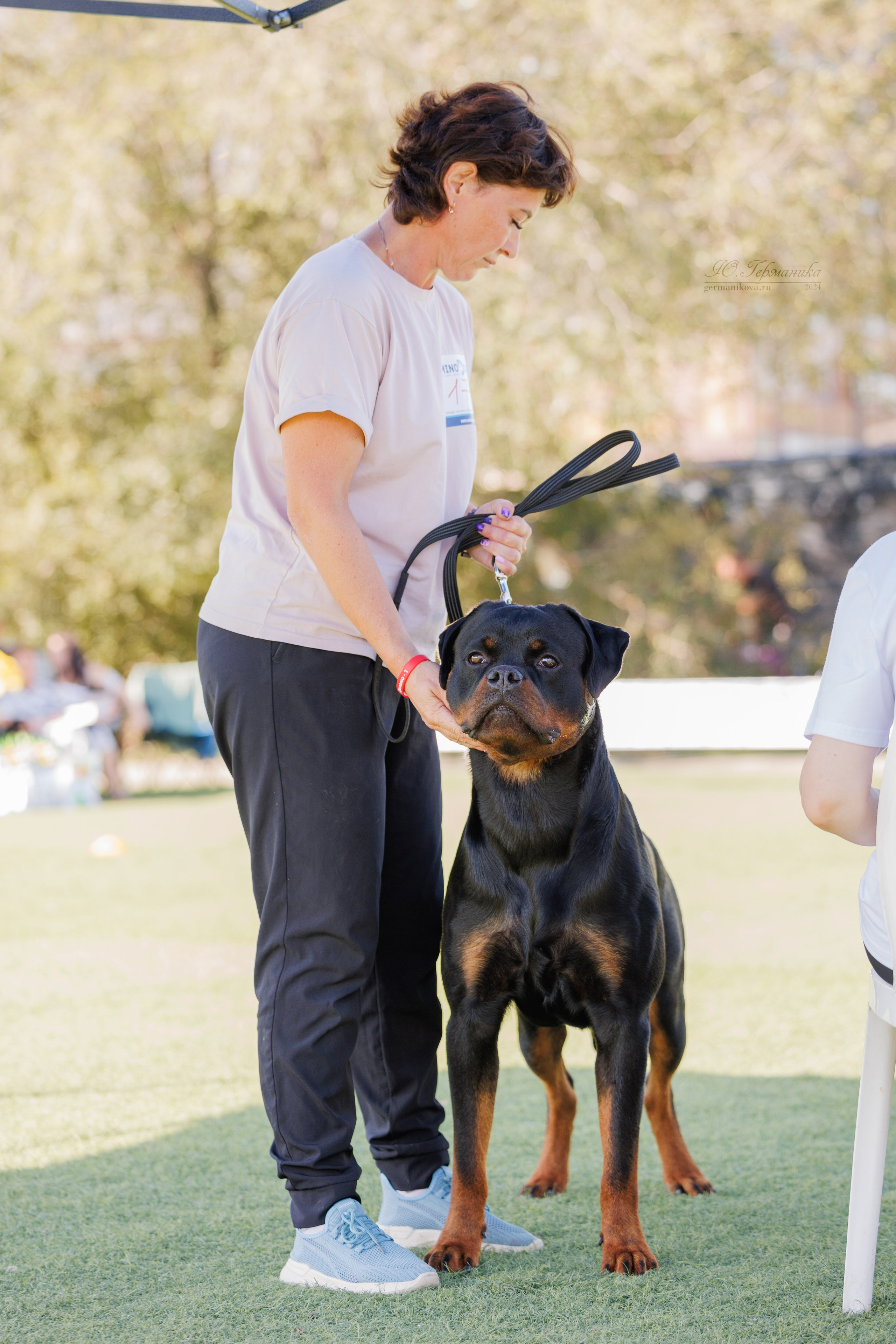 Анапа ротвейлеры 14-15.09.2024. Фотограф-анималист Юлия Германика