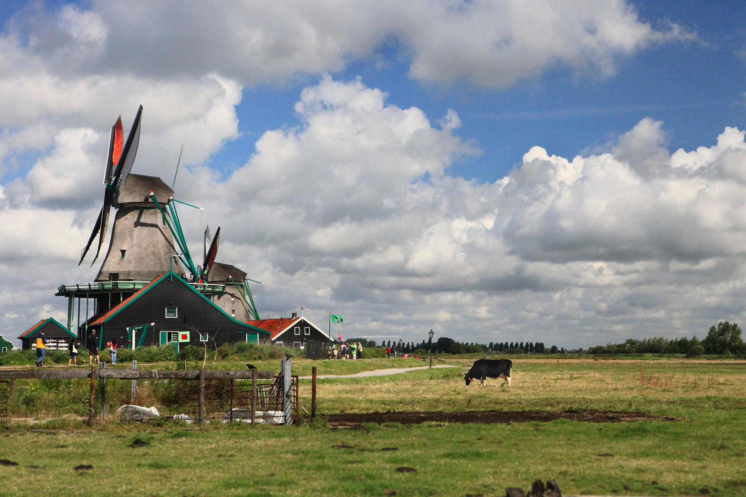 Амстердам. Фотография, ретушь, сканирование, восстановление старых фото, интерьерная съёмка, студия. Данилов Александр, Москва