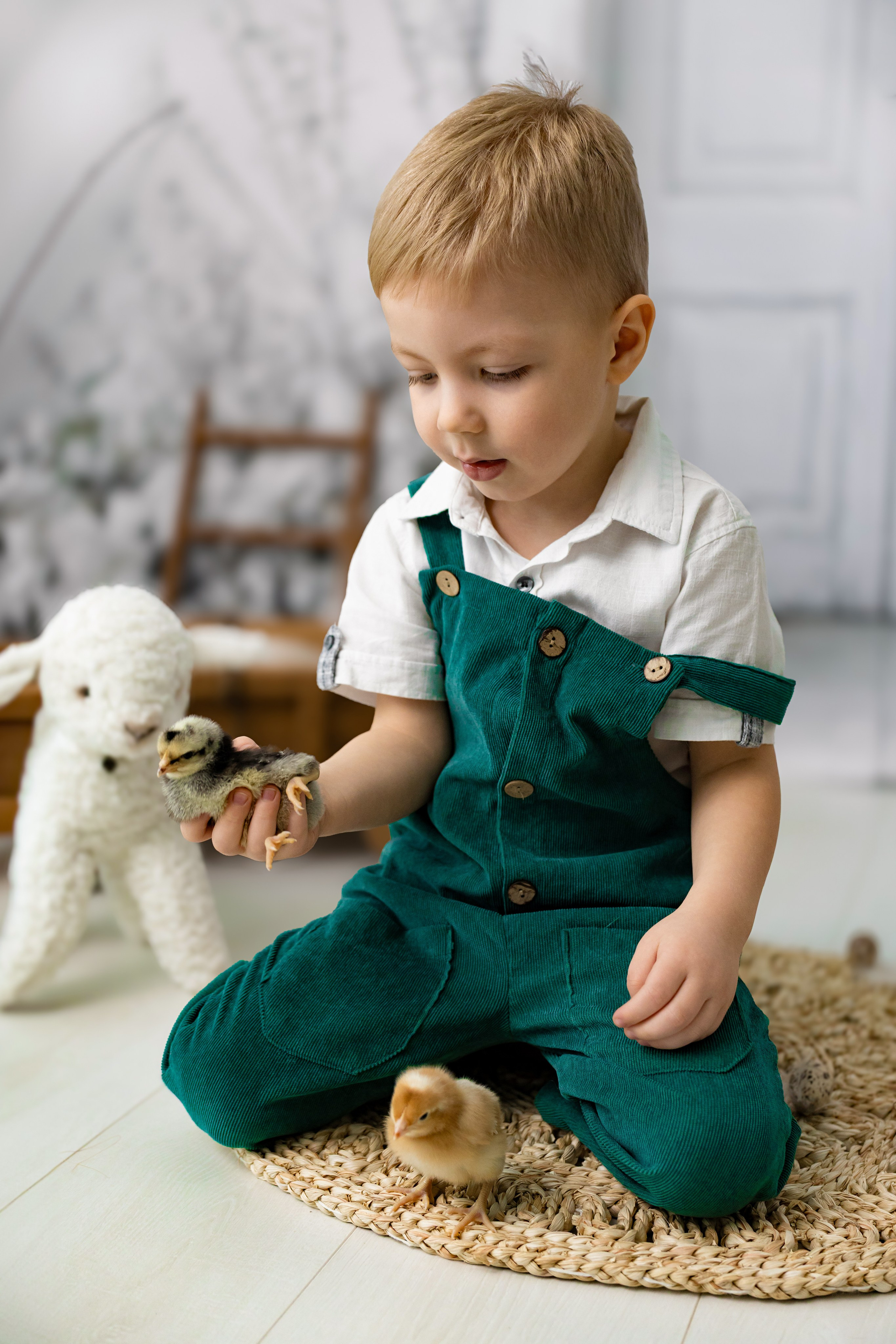 Фотосессия с цыплятами. Фотограф Белгород