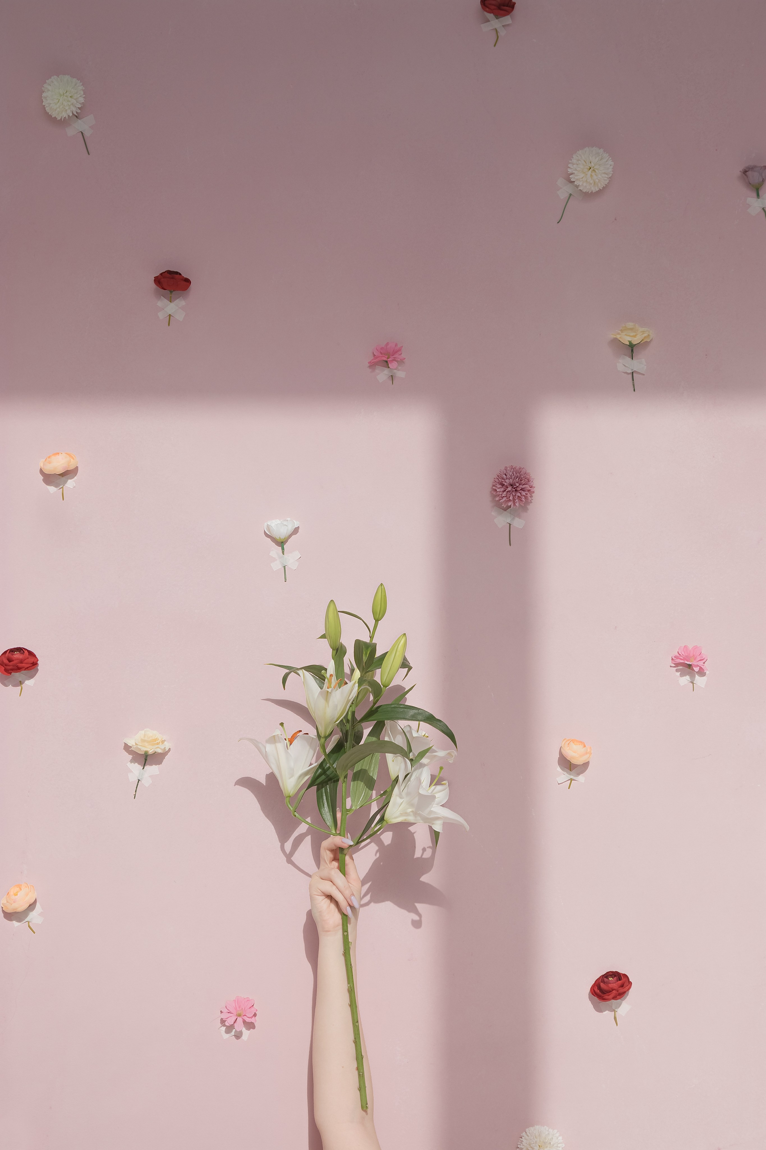 Александра. Портретный и пейзажный фотограф Никита Павлов