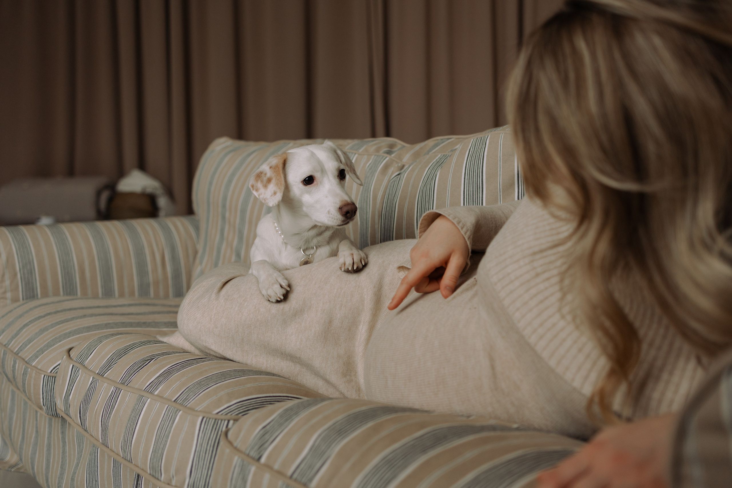 Луна и ее семья. Фотограф — Анималист | Санкт-Петербург