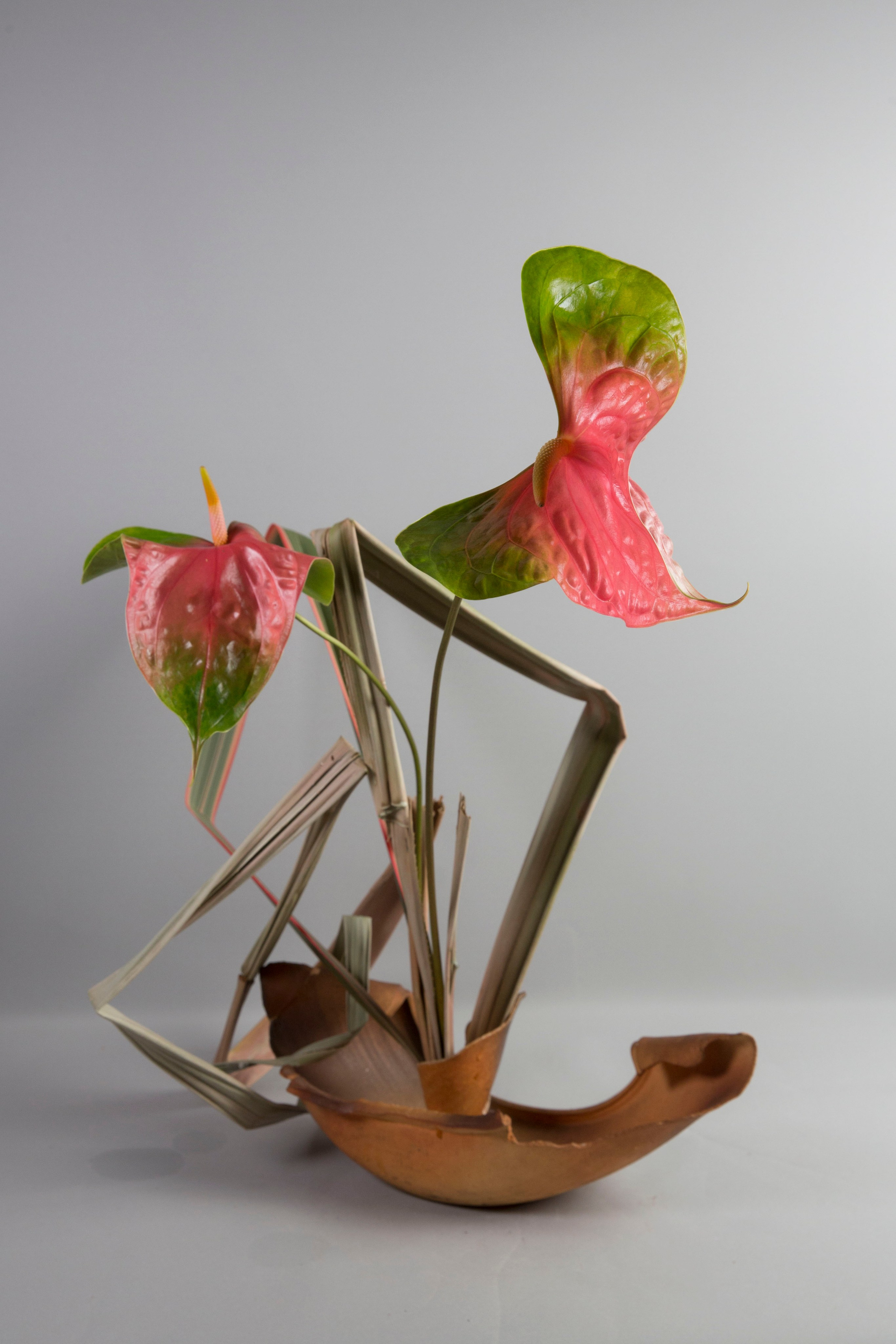 Икебана Барне. Фотограф Анна Барне