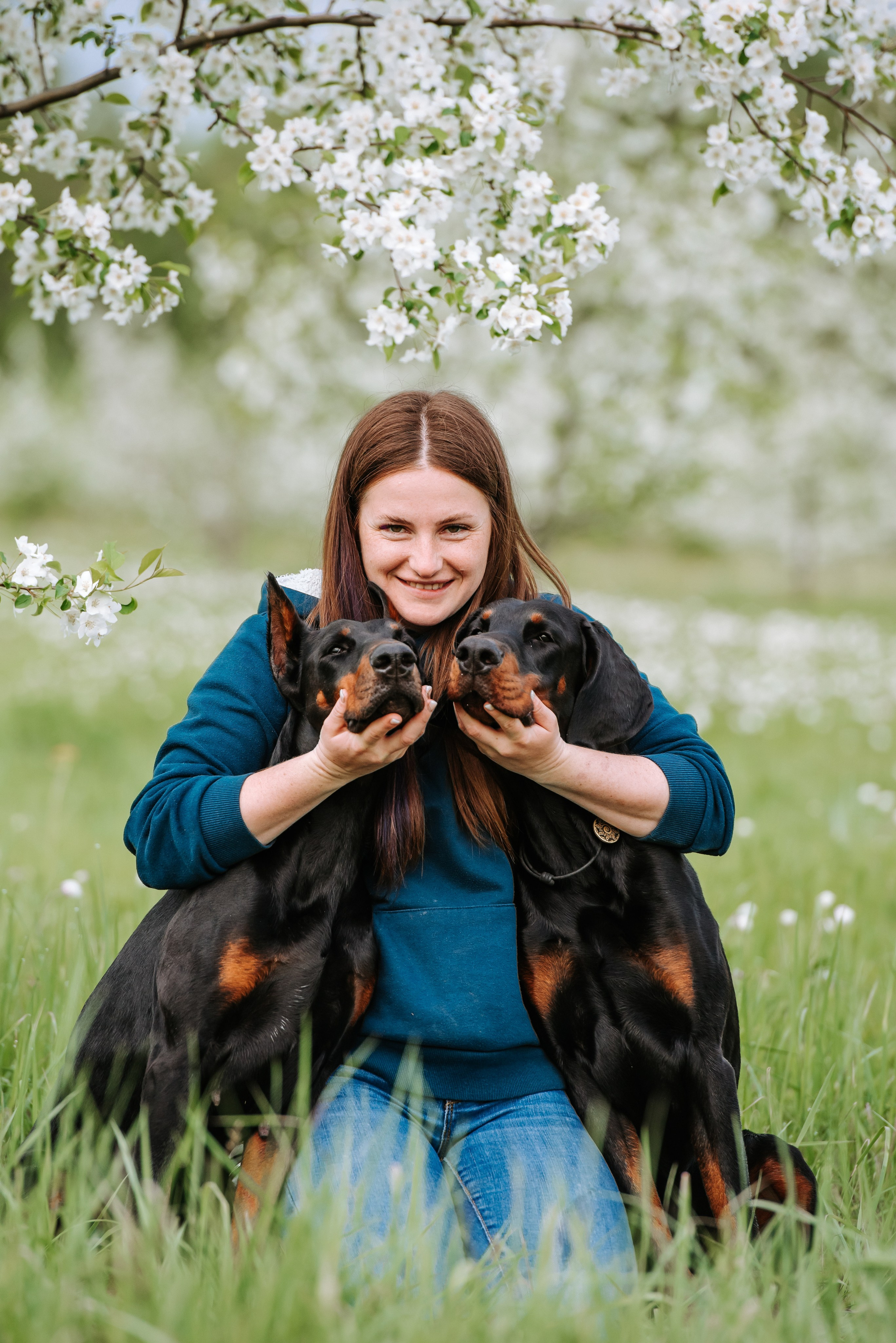 Цветение с доберманами. Фотограф Диана Оленина Красноярск / Братск