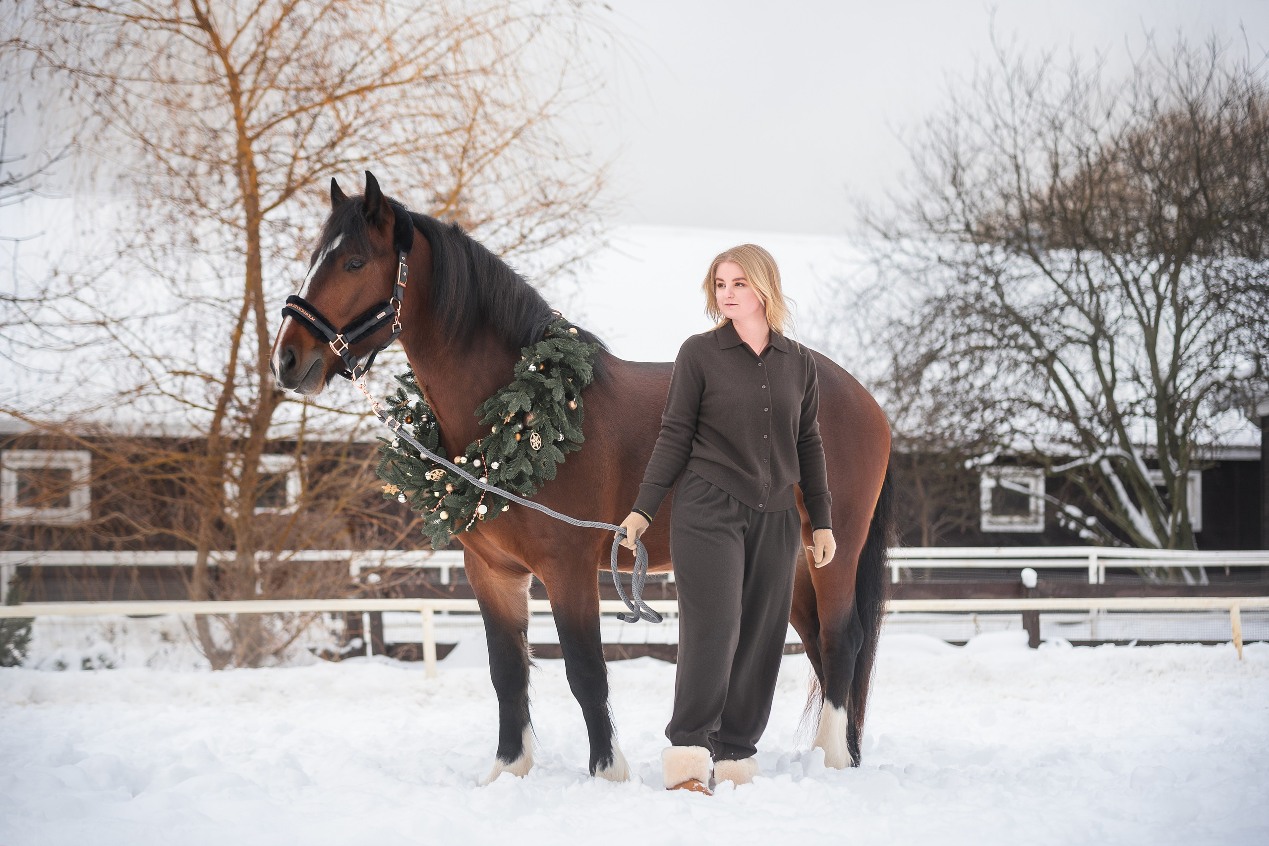 Новогодний Волконский. Конный фотограф Куракина Дарья • Фотосессии с лошадьми