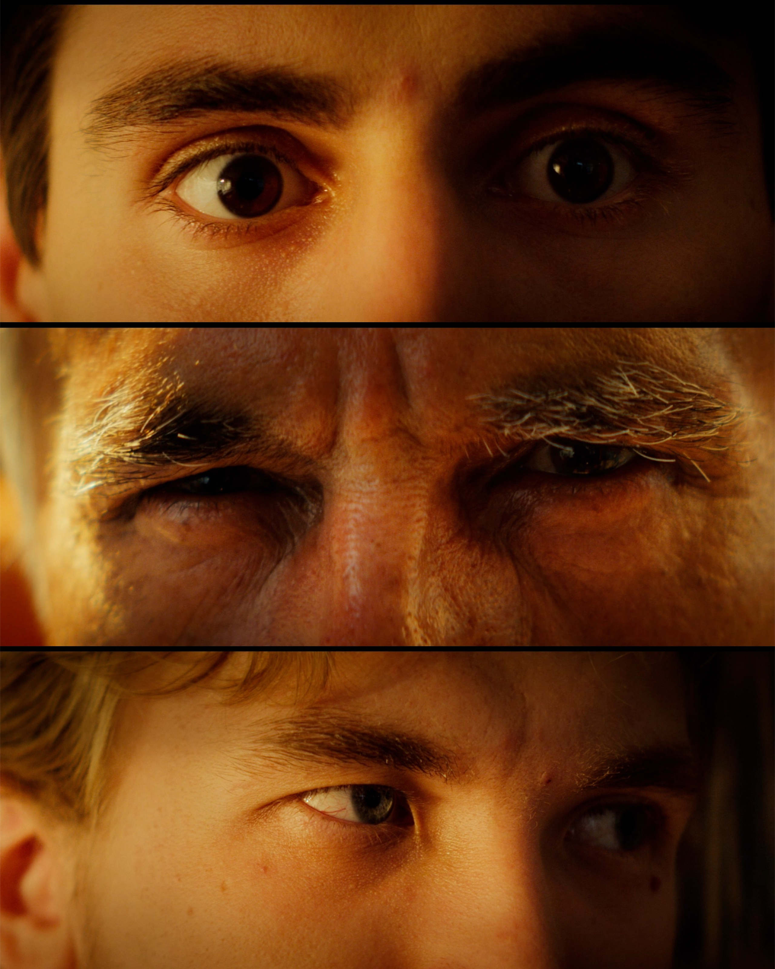 Бонжур, волшебник!. Даниил Фридрих