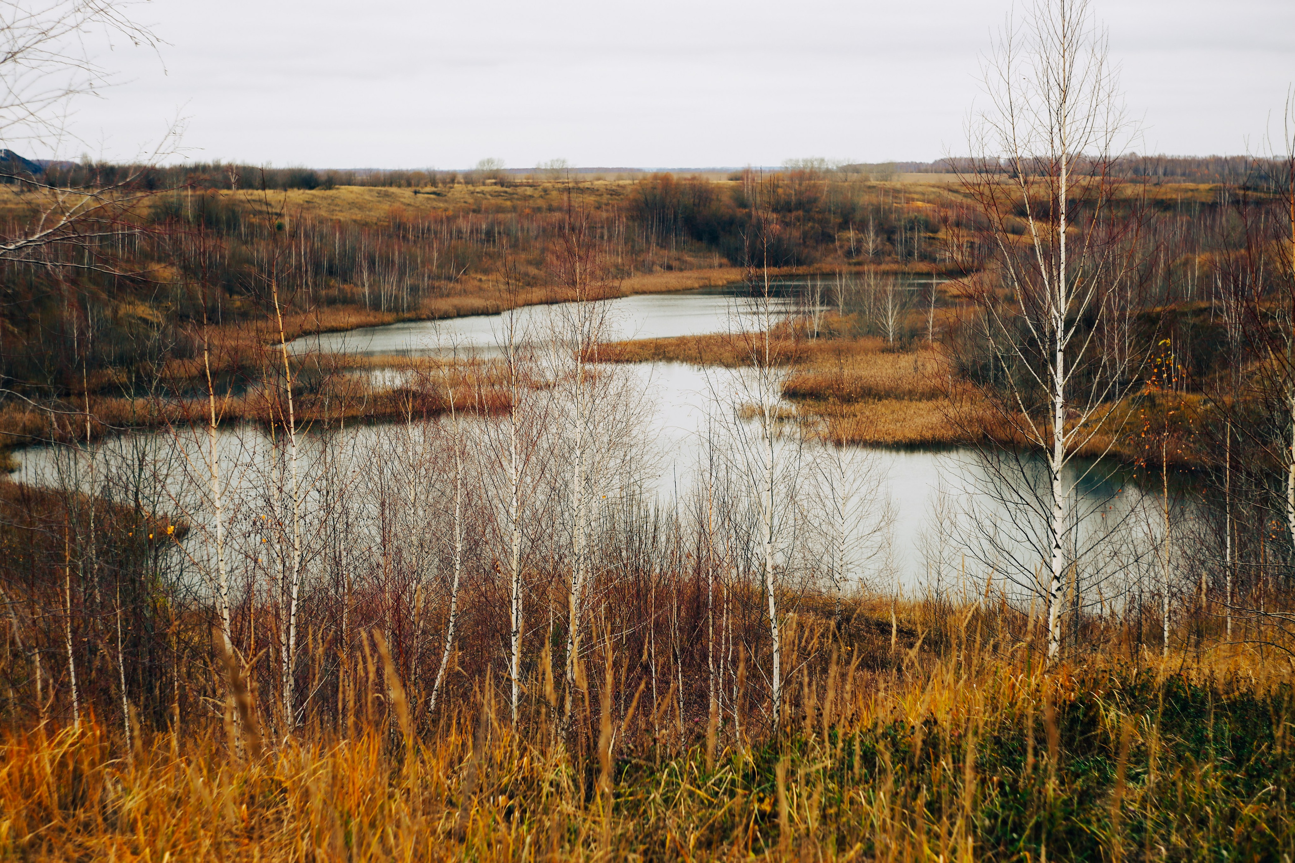 Ноябрь 2022. Efremovaphoto.ru