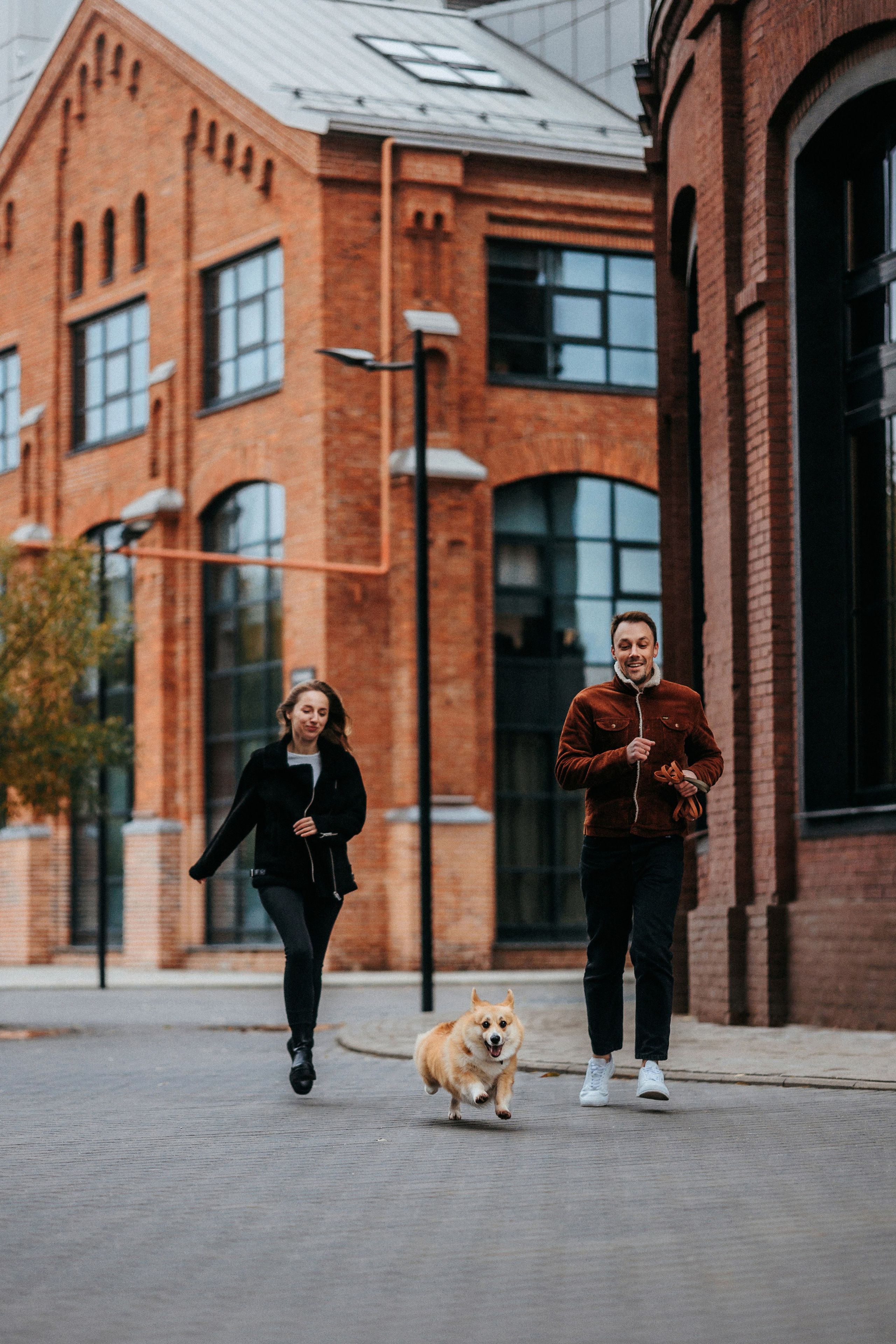 Вера, Саша и Муна. Фотограф-анималист Елена Радченко, Москва