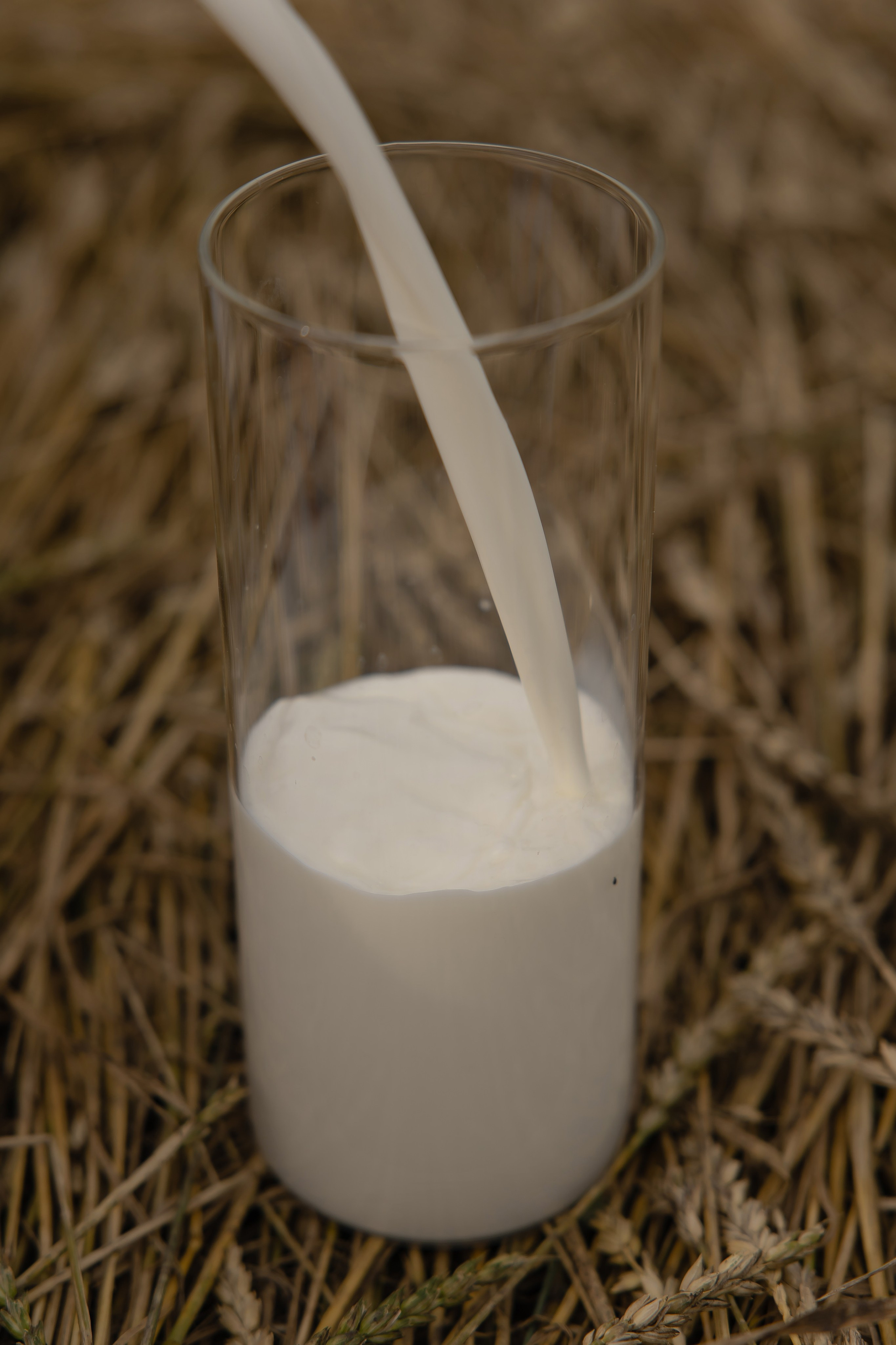 Даша. Свадебный и Семейный фотограф по всему миру Анна Фёдорова