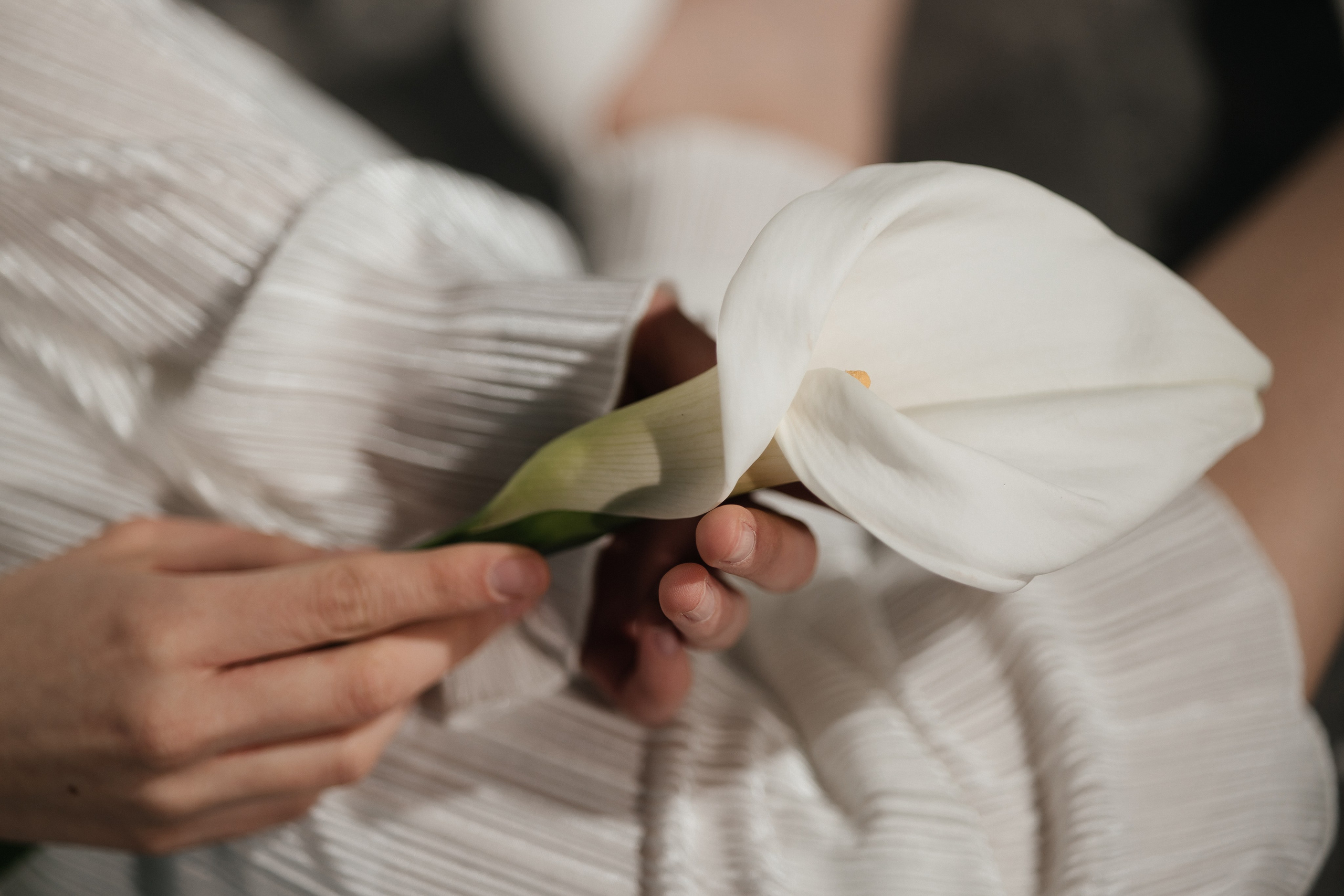 Эля. Фотограф Таганрог Любимая Надя