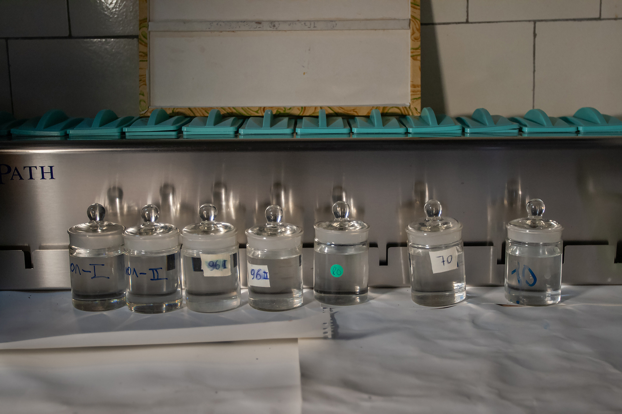 Батарея спиртов для гистологической проводки в Лаборатории регуляции функций нейронов мозга