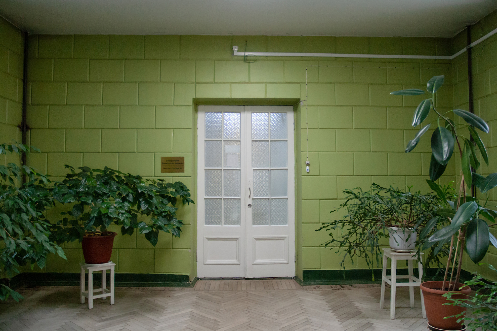 Вход в Лабораторию физиологии дыхания