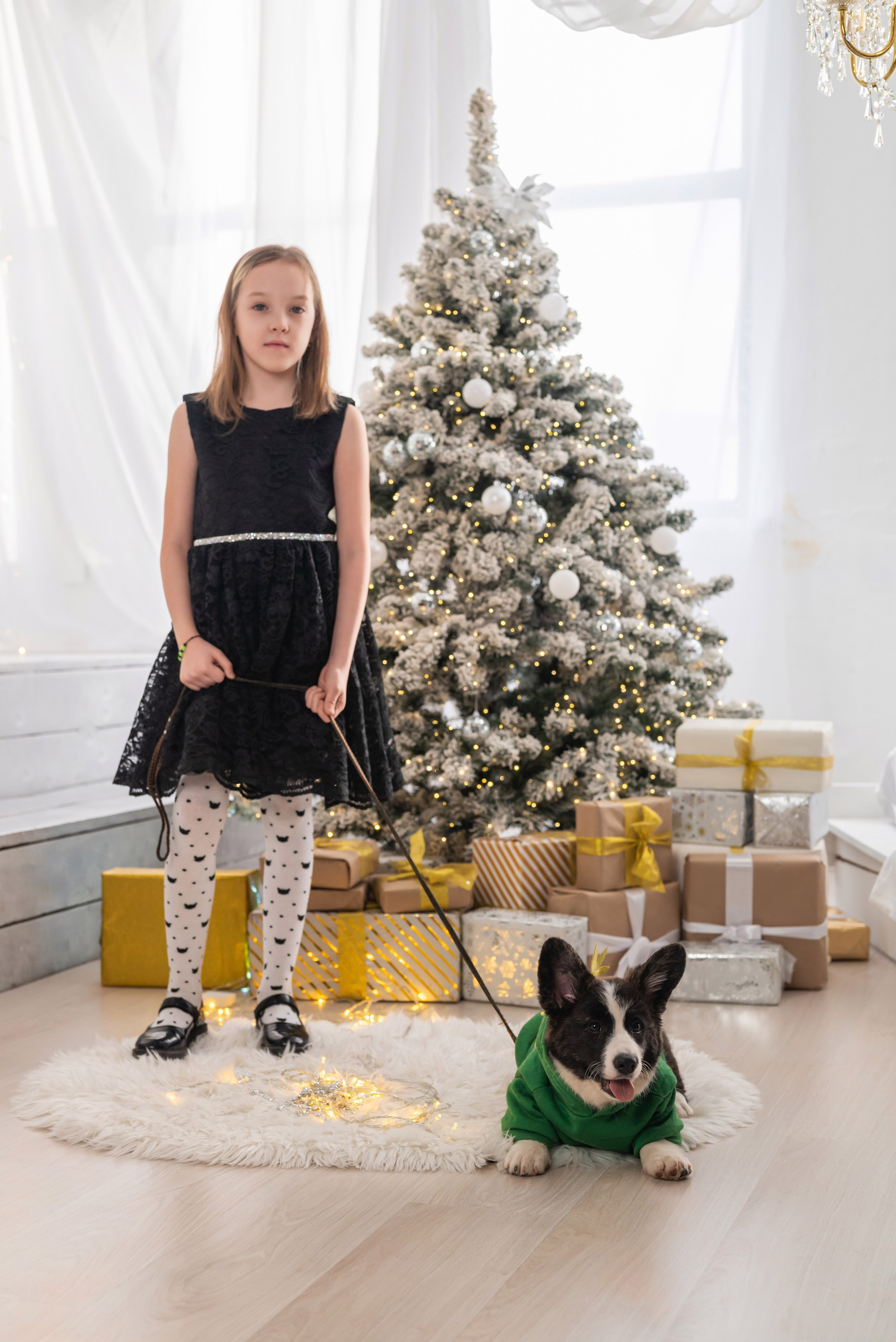 Фотопроект с корги. Фотограф в городе Салават