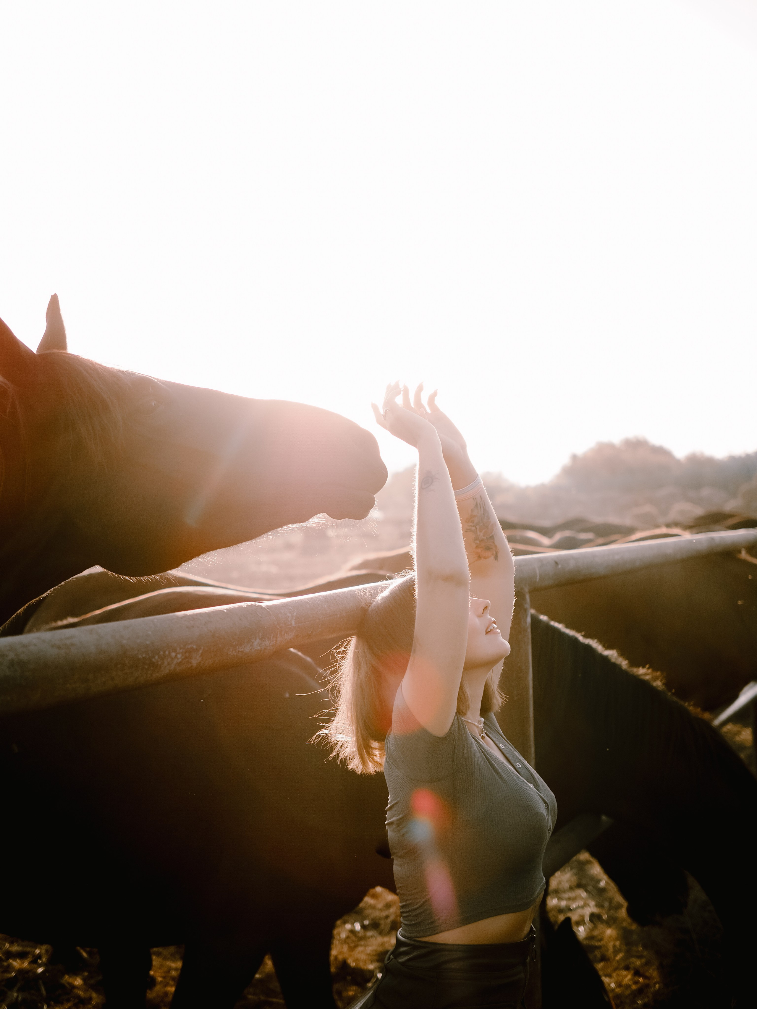 Фотопроект с лошадьми. Фотограф Рязань. Семейный Свадебный фотограф