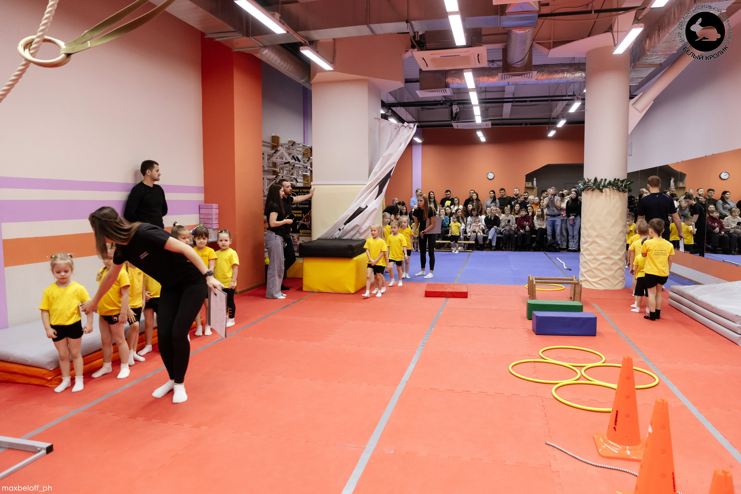 Белый кролик. Соревнования. Семейный фотограф — Макс Белогрудов