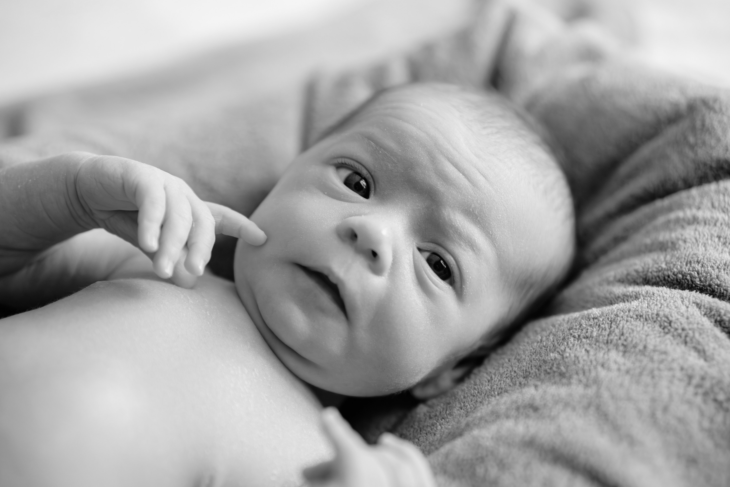 Newborn. Свадебный фотограф в Лисках