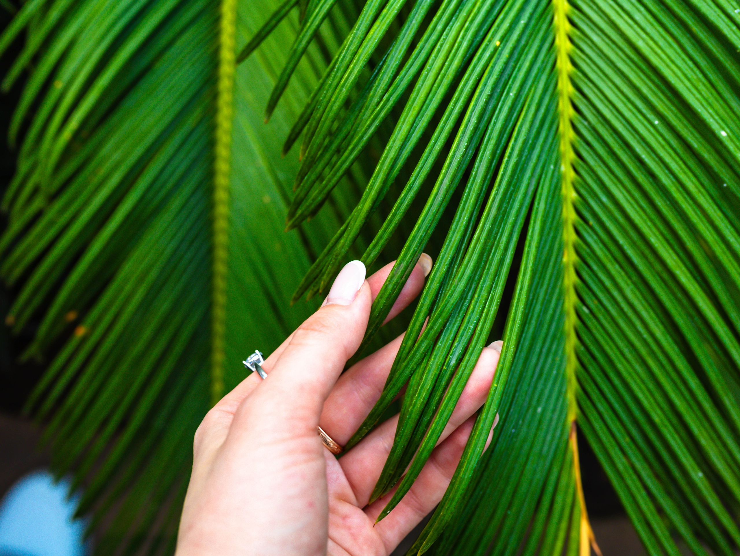 Фотографии природы Липецка. Свадебный и семейный фотограф Виолетта в Липецке