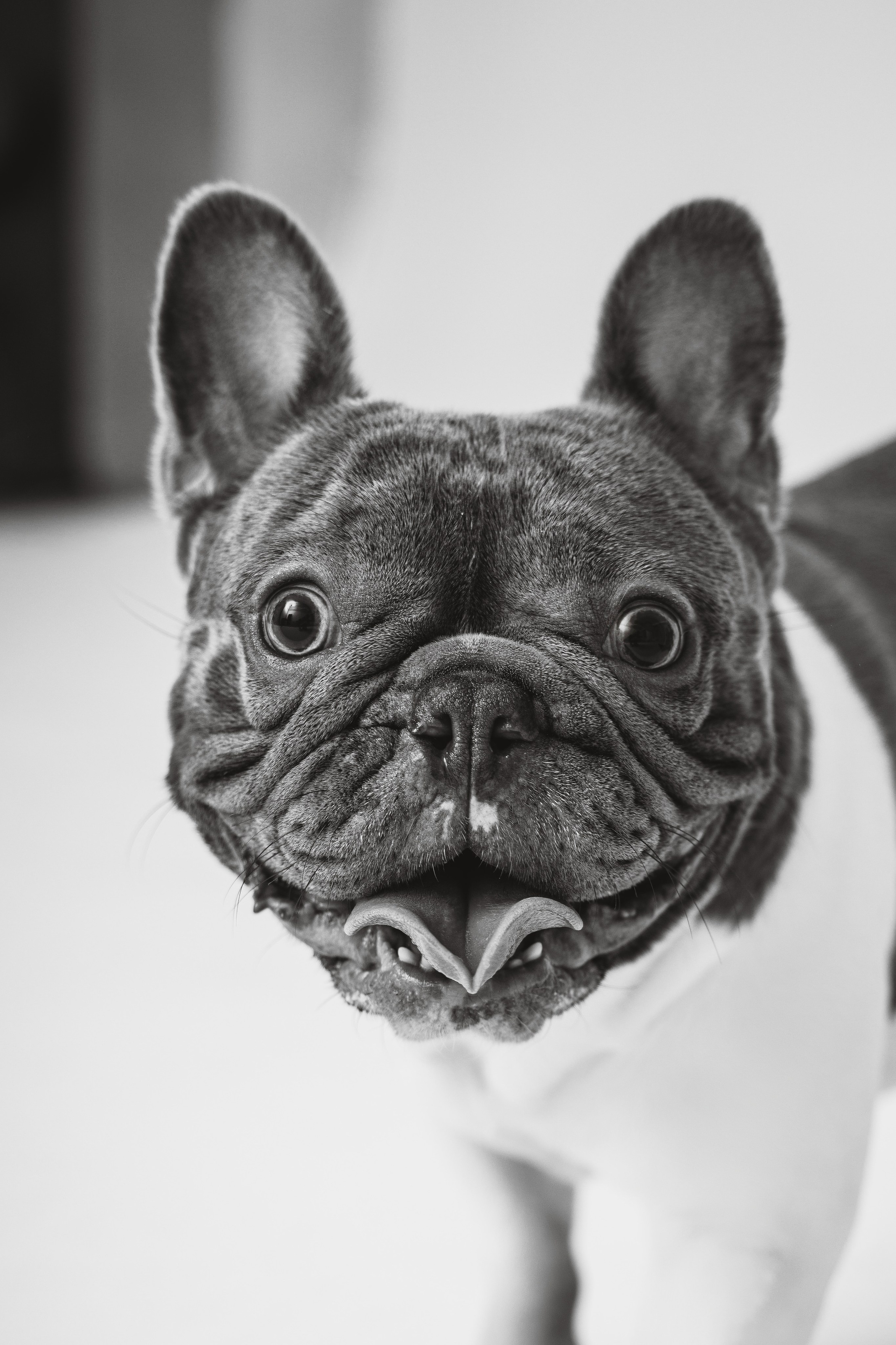 Екатерина, Виталий и Ричи