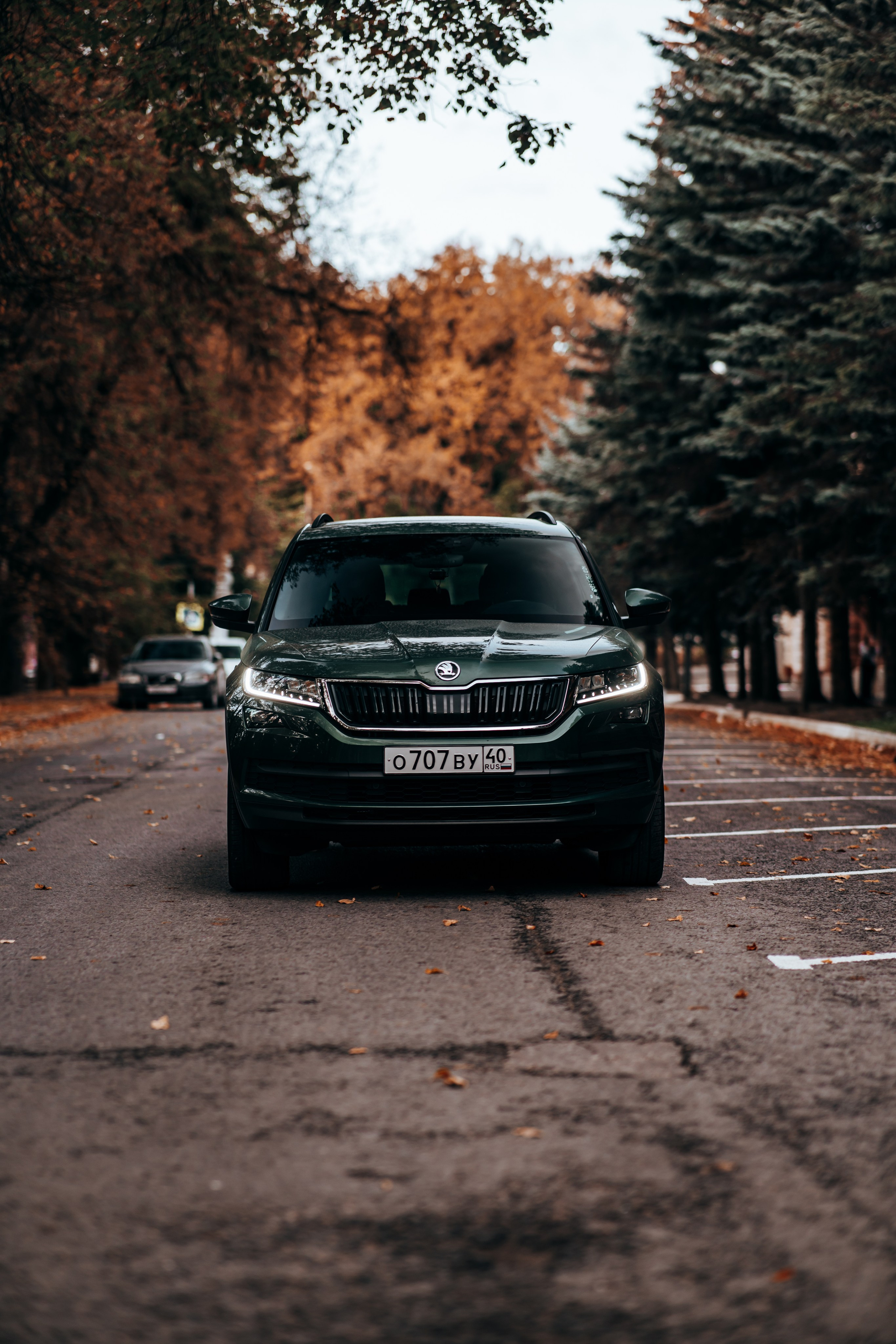 Skoda Kodiaq. Vlad Trykov