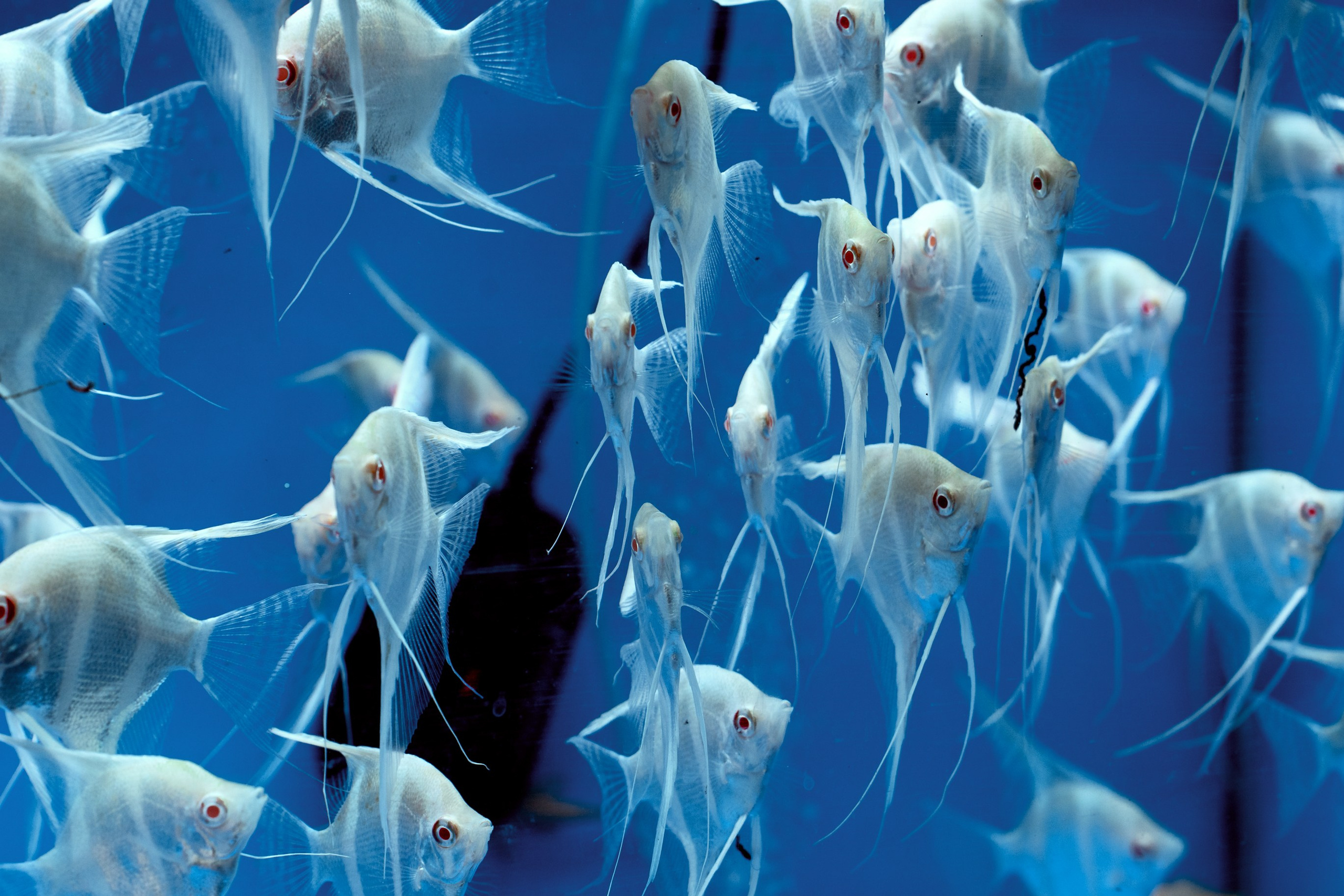 Ktokuda. Фотограф в Хабаровске. Фотография за 24 часа