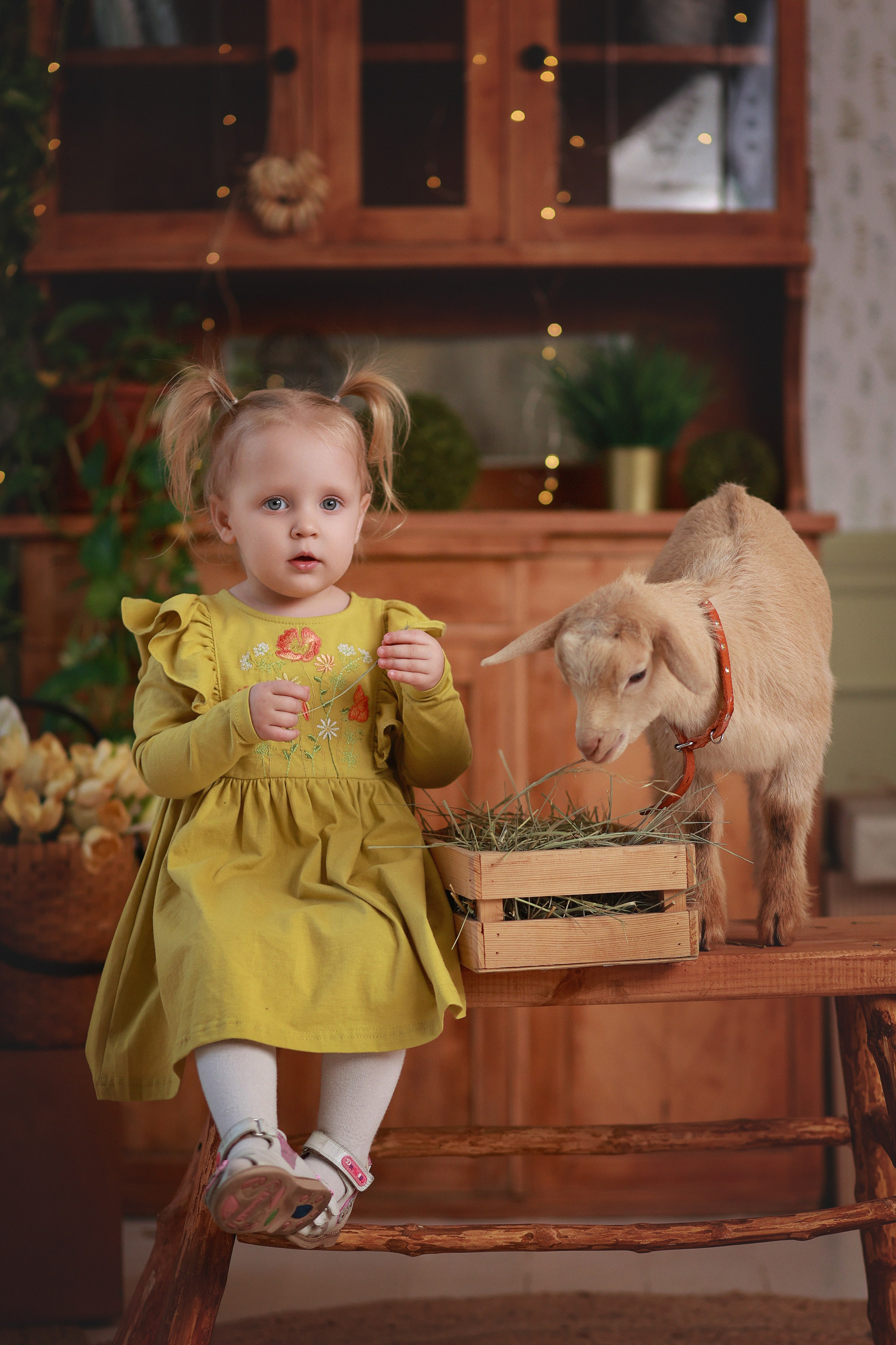 Фотопроект с козочкой и кроликами. Детский семейный фотограф Краснодар