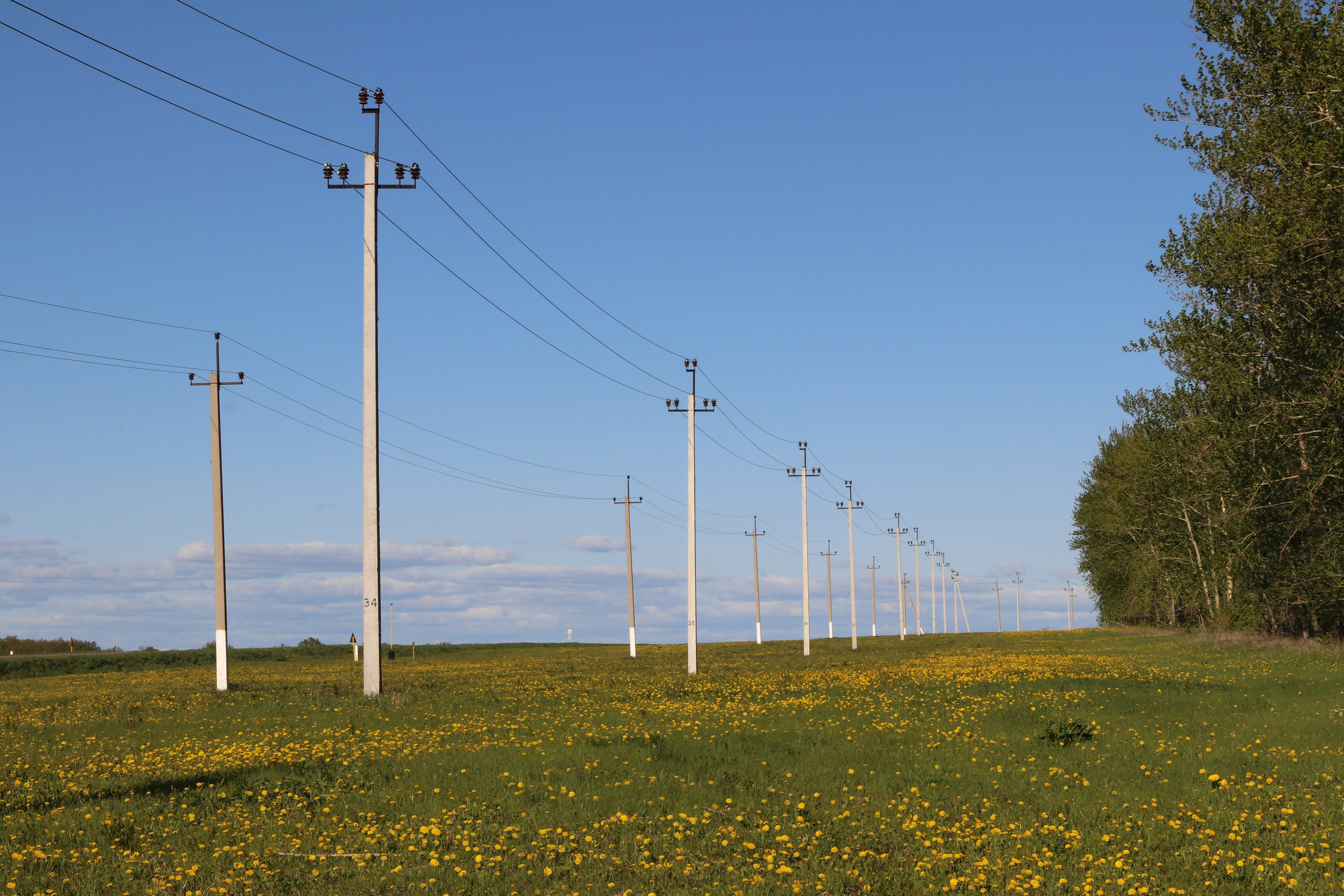 Велопоход Уфа — Мелеуз. Май 2024. Путешественник-фотограф из Санкт-Петербурга Татьяна Свистулина
