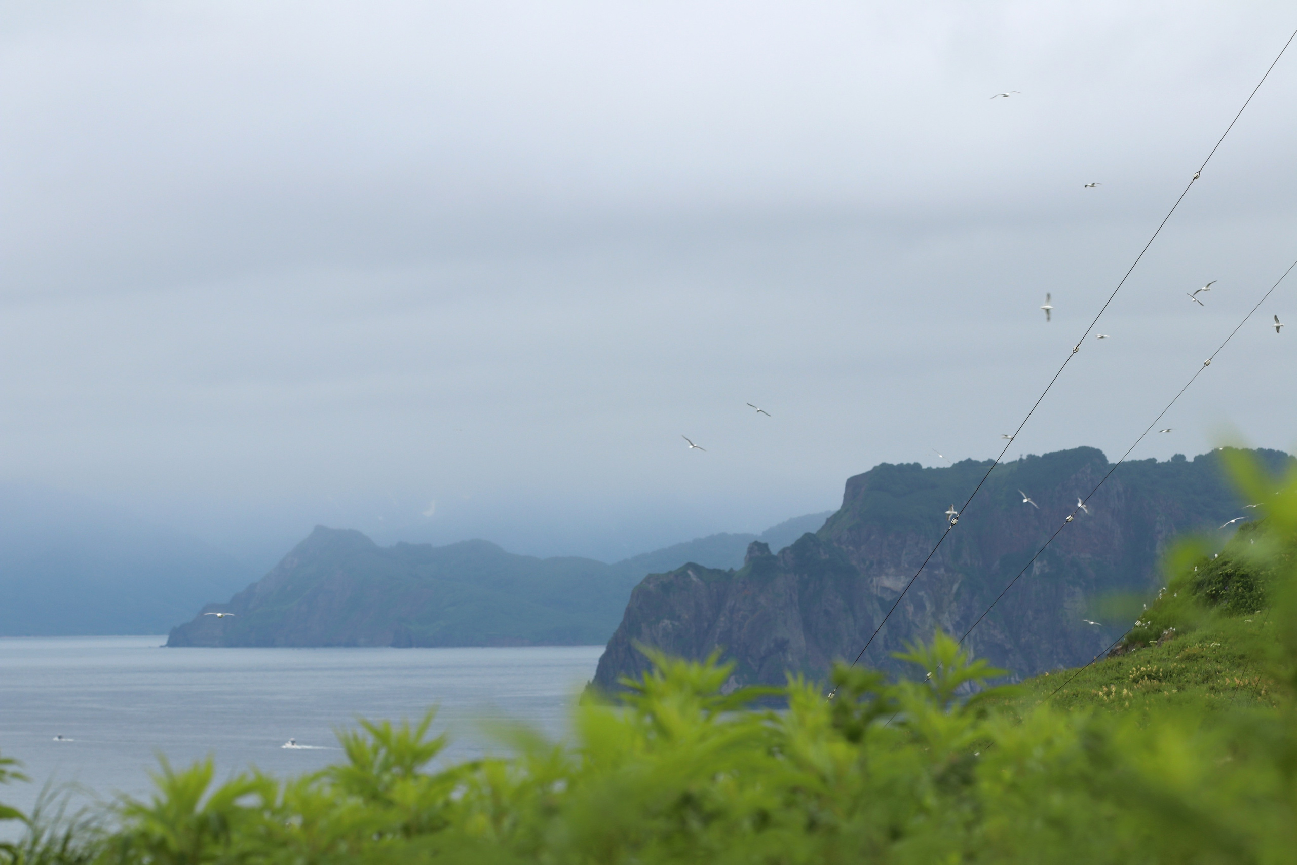 Камчатка и о. Парамушир. Июль 2024. Путешественник-фотограф из Санкт-Петербурга Татьяна Свистулина