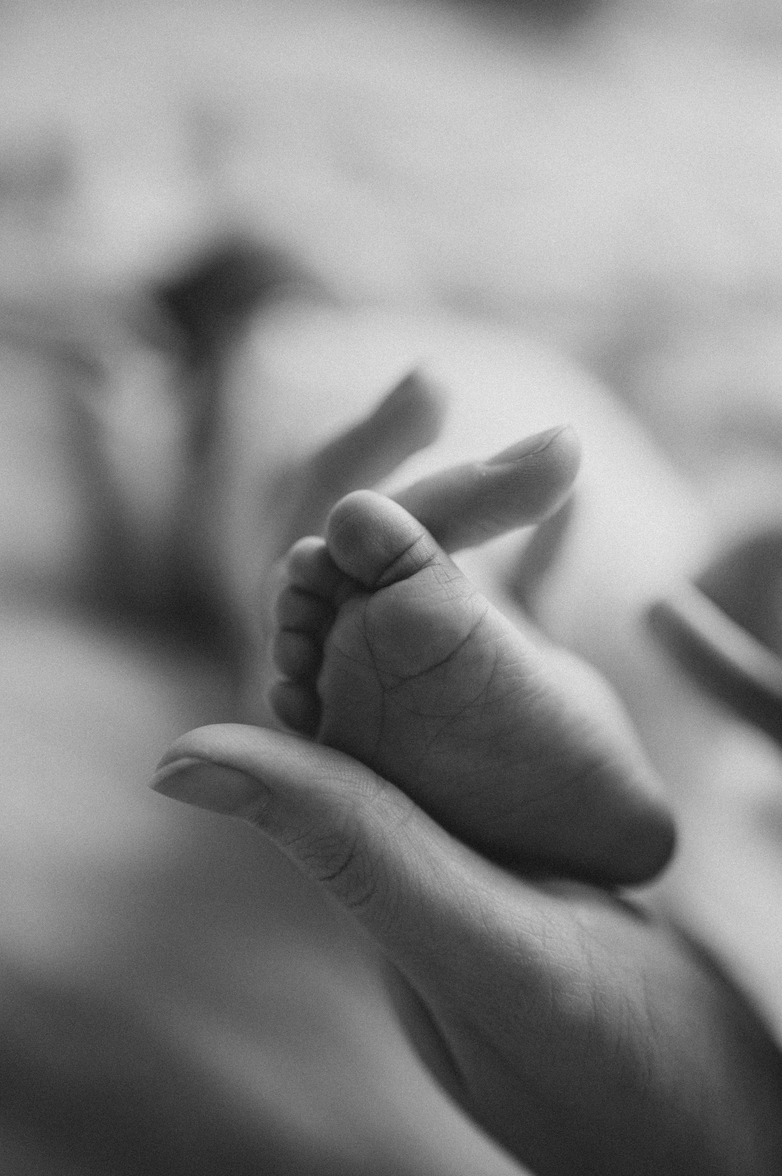 Рита, Влад и Петя. Дьяконова Валерия семейный и детский фотограф в Санкт-Петербурге