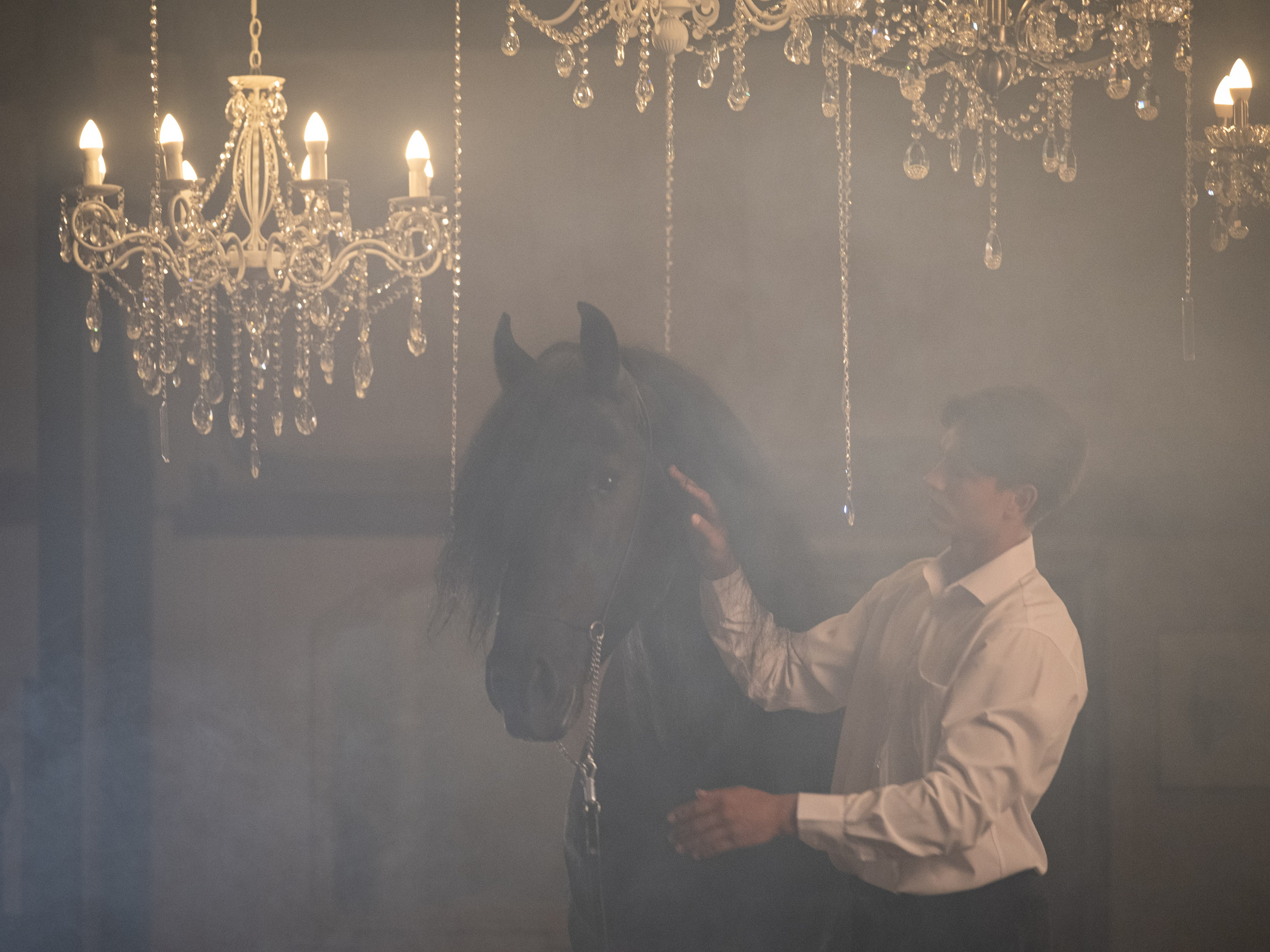 Люди и лошади!. Зоофотограф, фотограф животных в Москве и области Дина Дамоцева