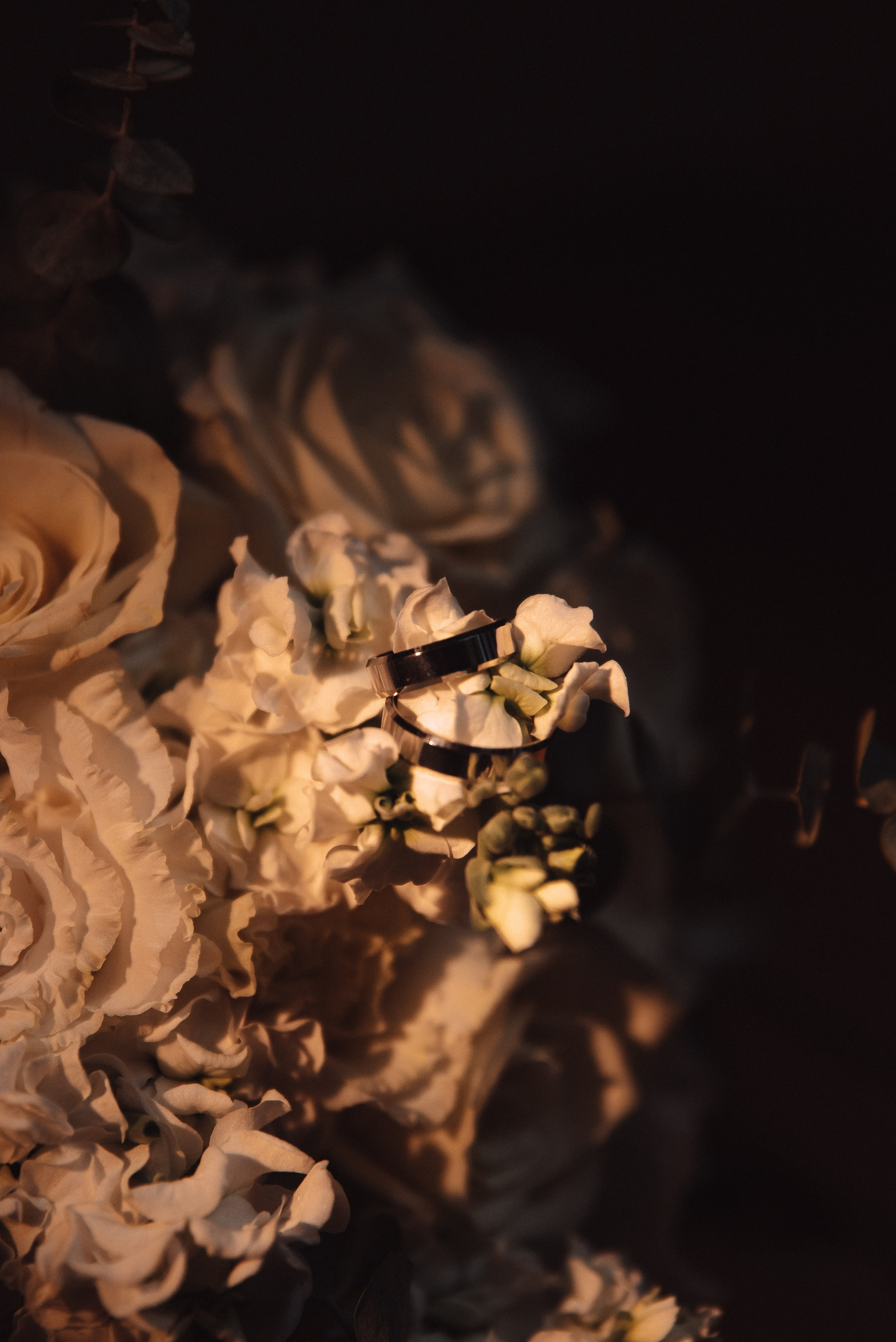 Александр + Анастасия. Свадебный и семейный фотограф в Волгограде Олеся Лисицкая