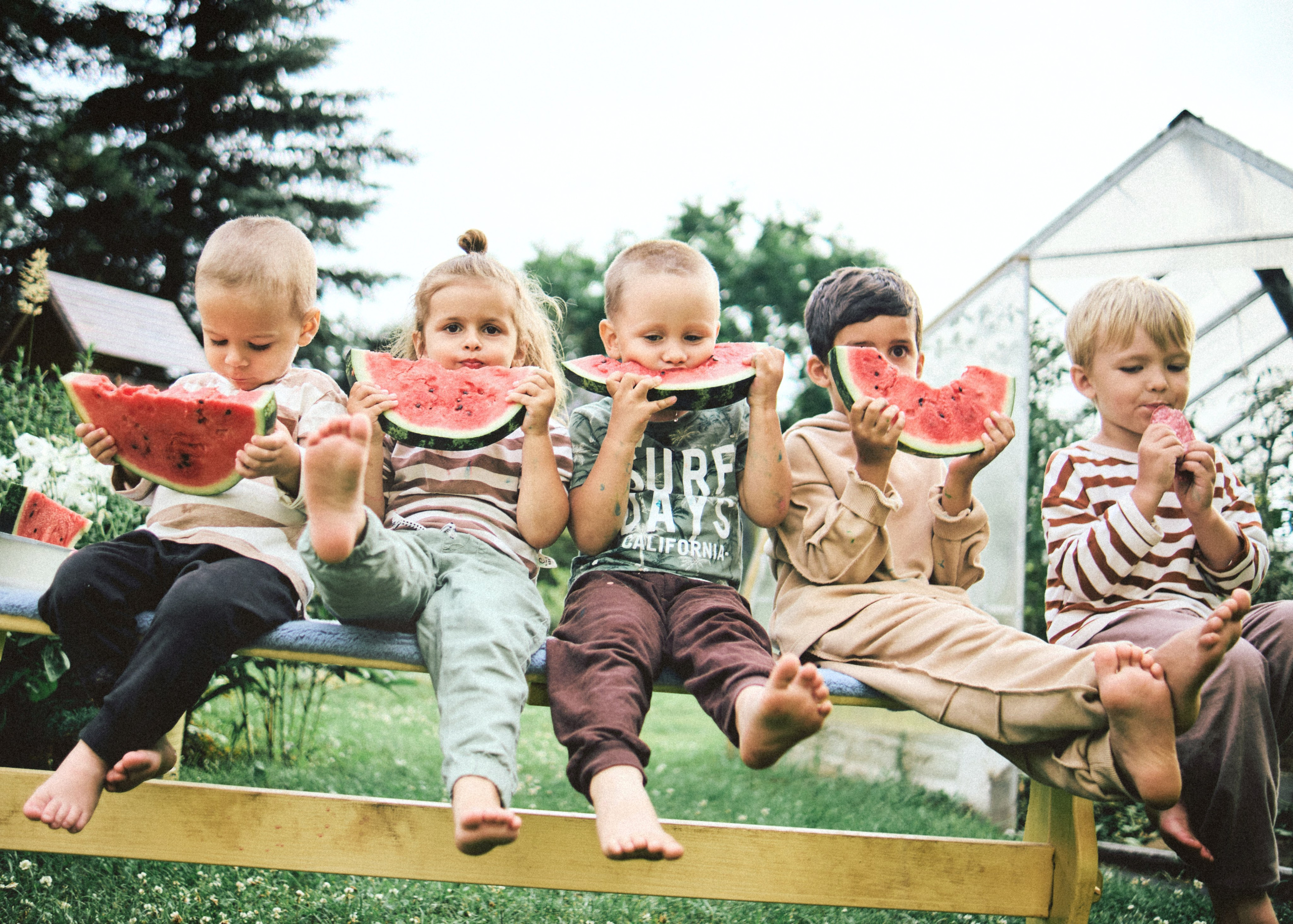 Банда. SHILOVA PHOTO. Шилова Екатерина. Фотограф. Москва
