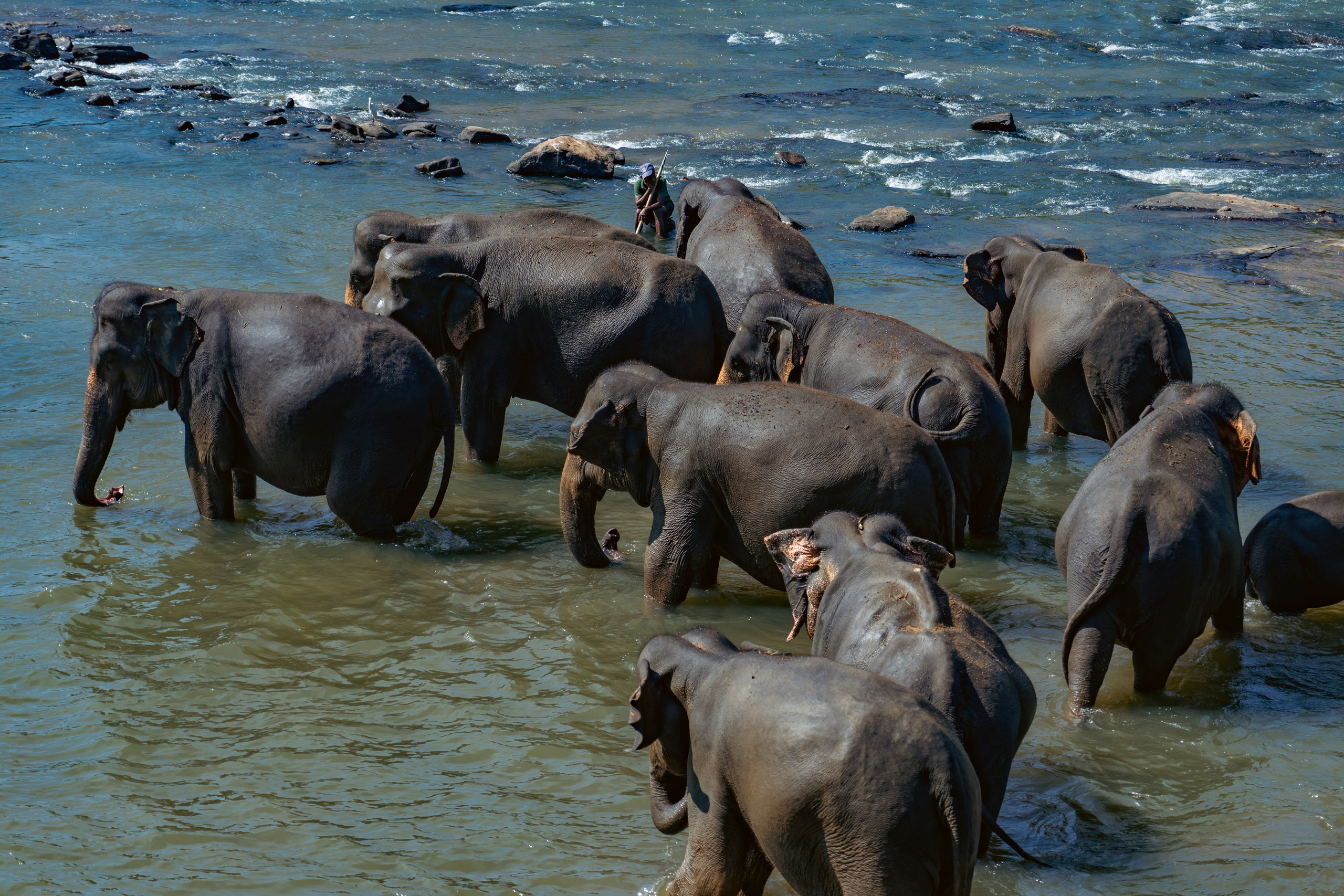 Excursions in Sri Lanka